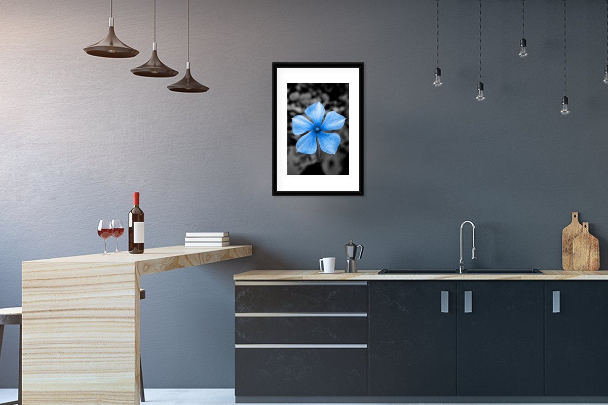 MuchoWow Poster Blumen - Blau - Schwarz - Weiß, (1 St), mit Rahmen, Kunstdruck, Gerahmtes Poster, Schwarzem Bilderrahmen