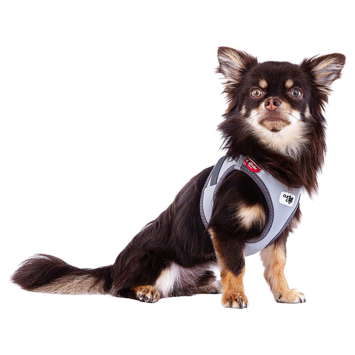 Curli Hunde-Geschirr Clasp Vest Geschirr Glow Reflective Gray