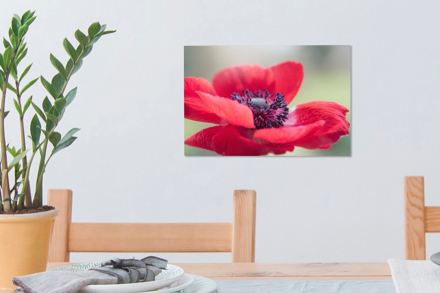 OneMillionCanvasses® Leinwandbild Rote Anemone, (1 Leinwandbilder, Wandbild Aufhängefertig, cm Wanddeko, St), 30x20