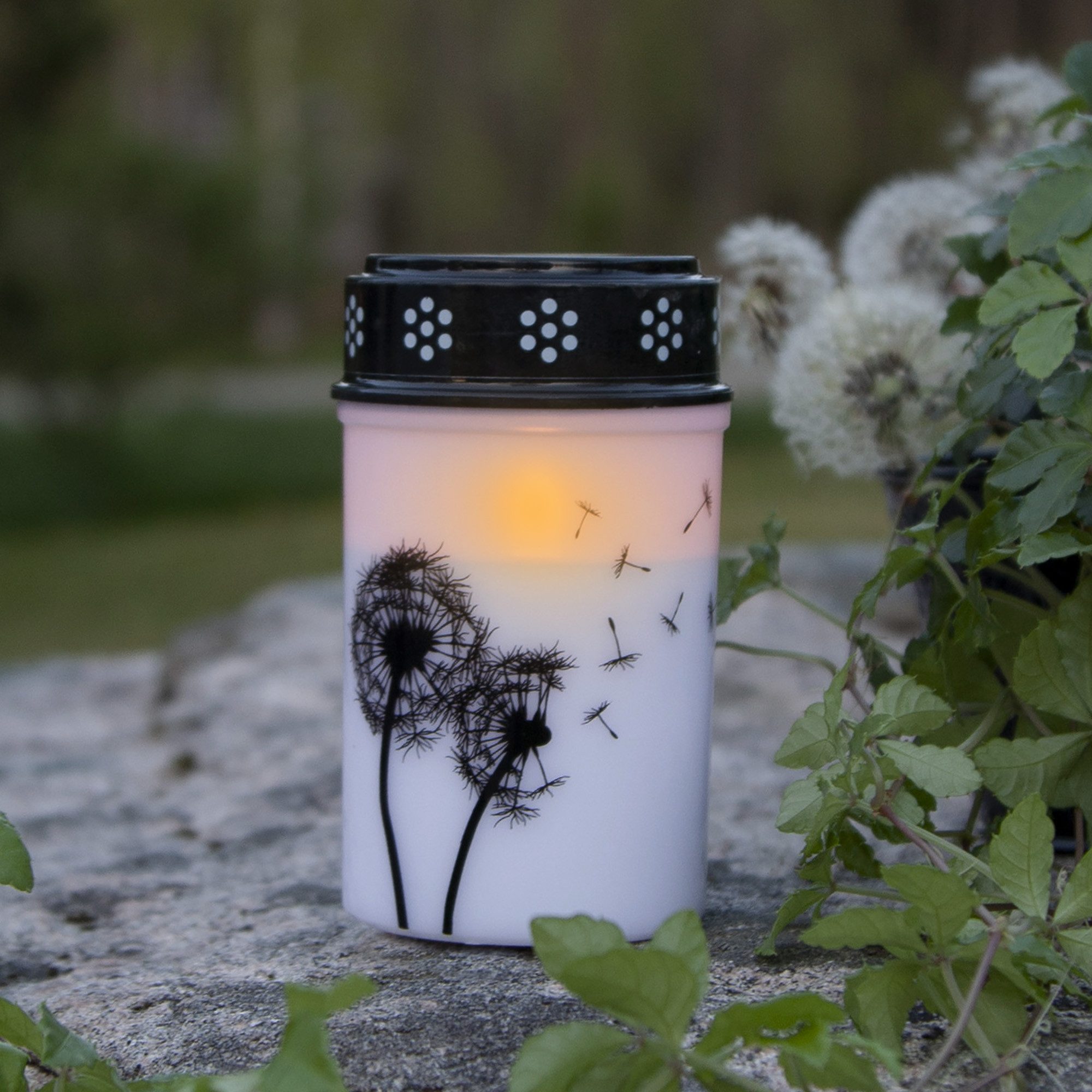 STAR TRADING LED-Kerze LED Grabkerze Dandelion, günstig online kaufen