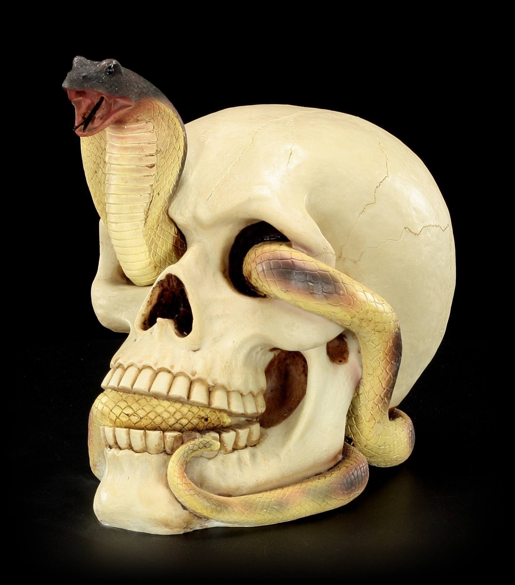 Figuren Shop GmbH Dekofigur Totenkopf - Kobra schlängelt sich durchs Auge - Gothic Deko Fantasy