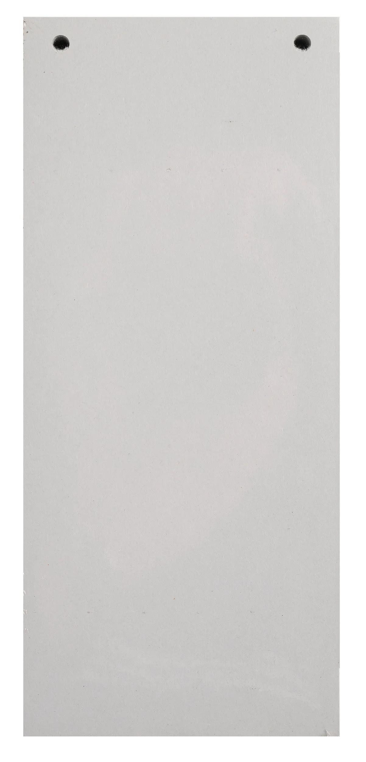 EXACOMPTA Aktenordner 12x 100 Разделительные полосы 2-fach gelocht RC Kart 105x240mm Grau 13485B, Karton recycling Register