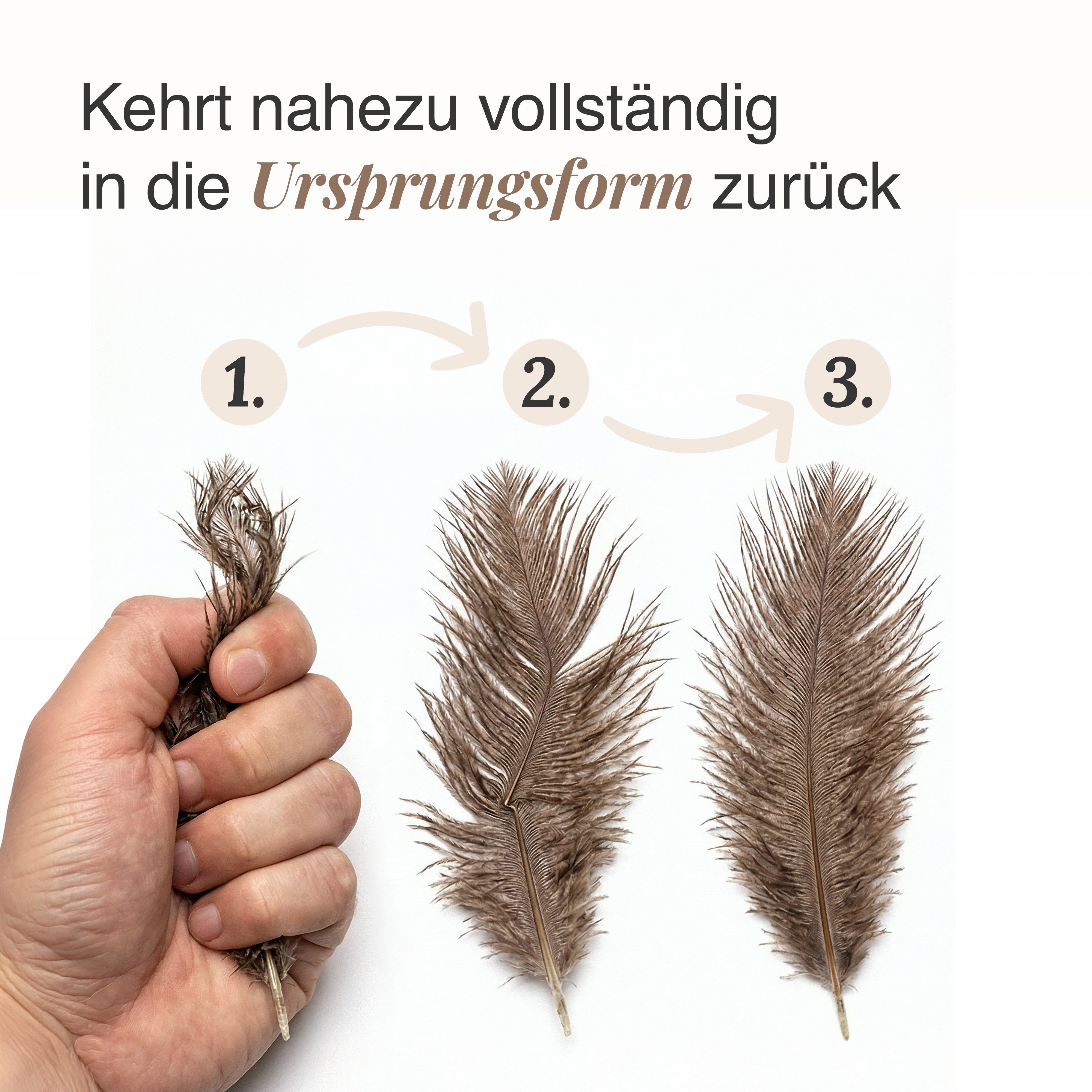 SCHLITZOHR Katzenangel Anhänger aus Straußenfedern (5 Stück), robust, langlebig, echte Federn