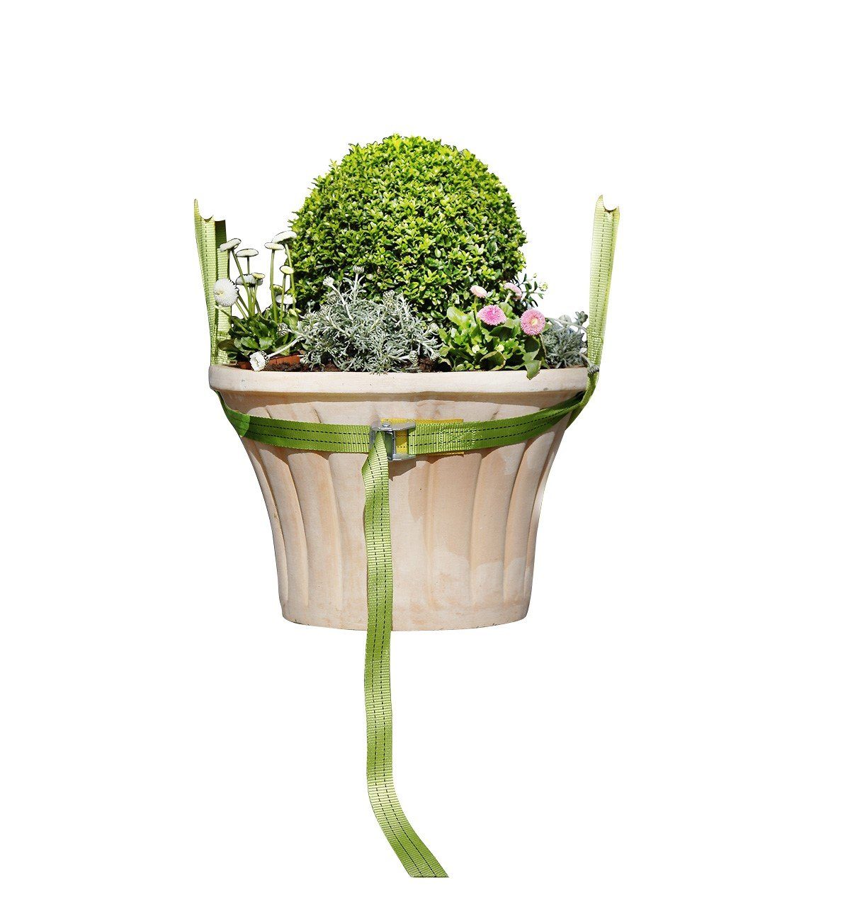 Bio Green Pflanzkübel Tragegurt für Kübelpflanzen