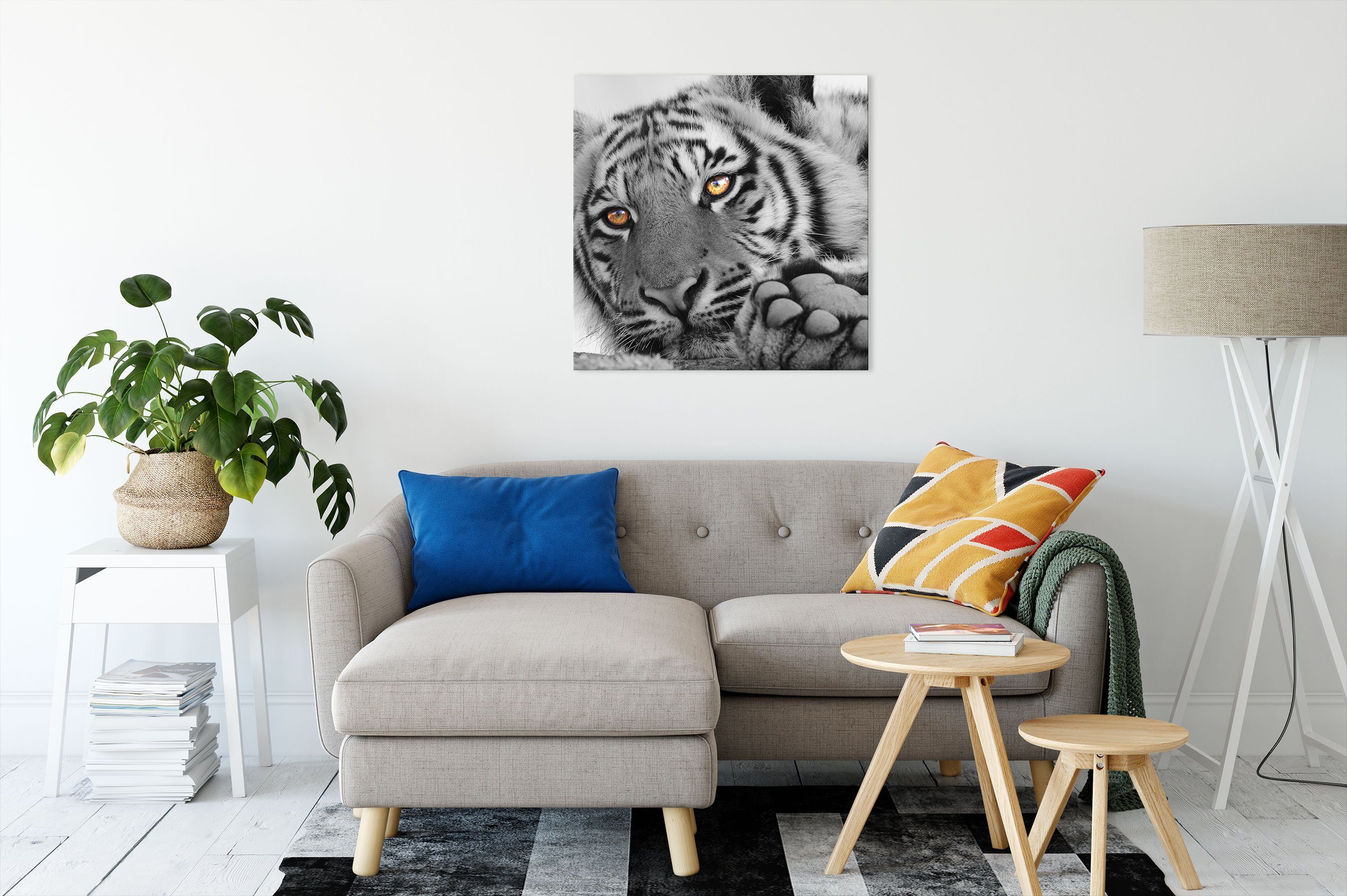 Zackenaufhänger inkl. Tiger, fertig entspannter Leinwandbild (1 bespannt, Leinwandbild St), Tiger entspannter Pixxprint