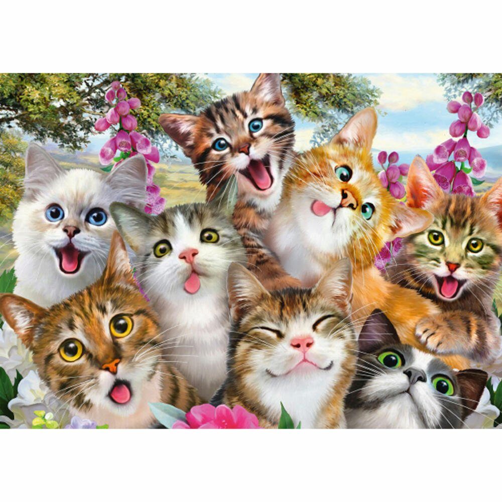 Spiele Katzen-Selfie, Puzzle Puzzleteile 500 Schmidt