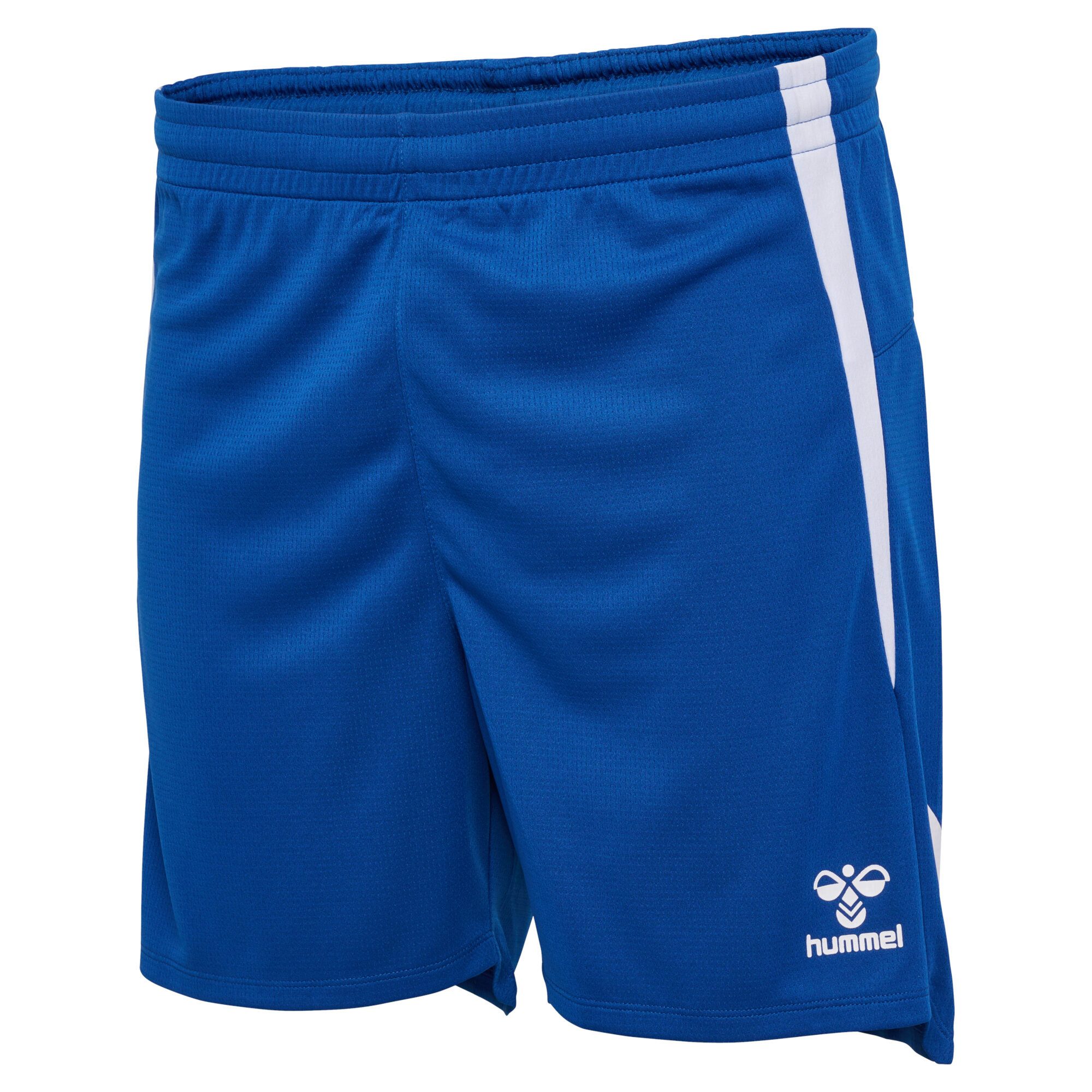 hummel Trainingsshorts Hummel Herren Short LEAD 2.0 223743