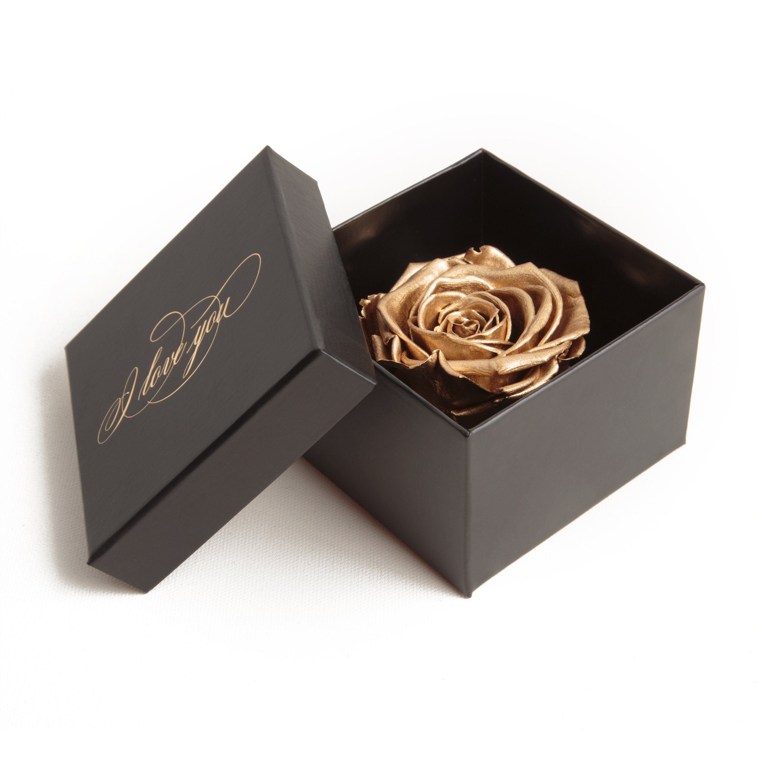 Echte Rose You Gold Liebesbeweis konserviert Idee Rose, Box 6 cm, SCHULZ ROSEMARIE Infinity Love Kunstblume Geschenk Heidelberg, Höhe I Rose