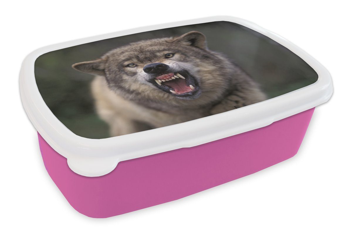 Erwachsene, - Kunststoff Kunststoff, Kinder, Wolf Maul (2-tlg), für MuchoWow Lunchbox - Zähne, rosa Brotbox Snackbox, Brotdose Mädchen,
