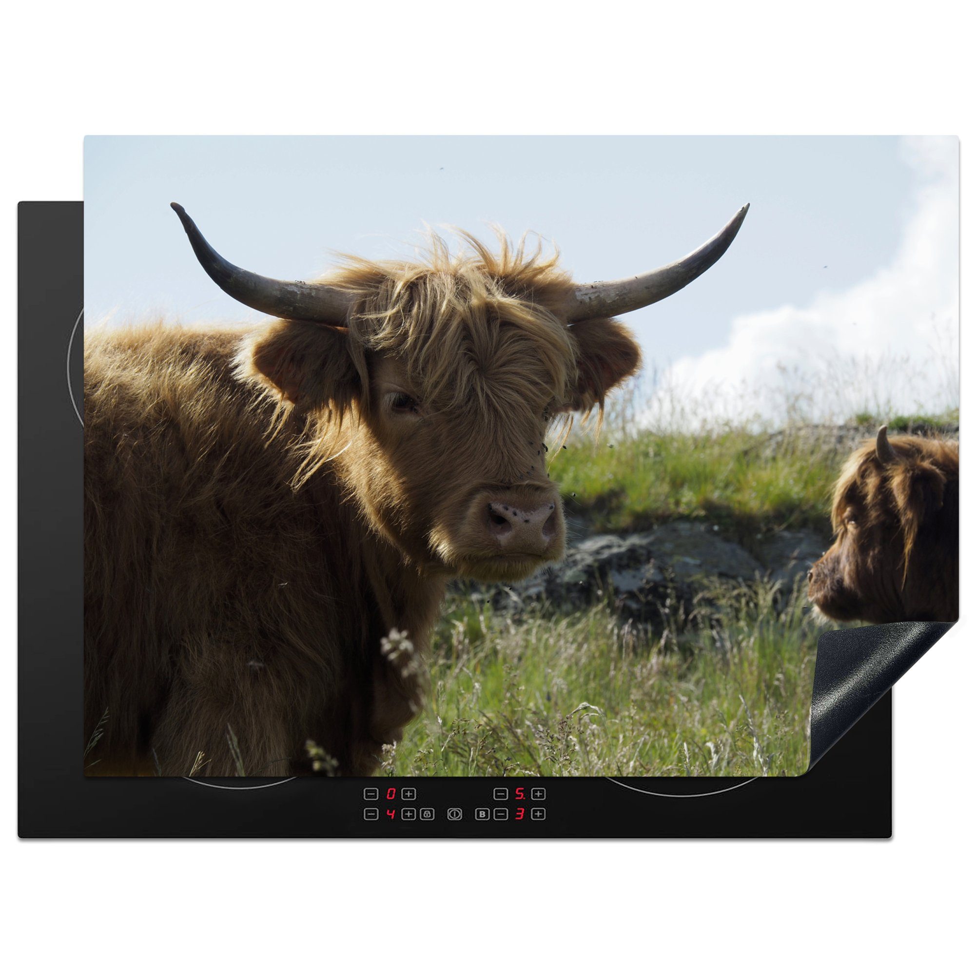 MuchoWow Herdblende-/Abdeckplatte Schottischer Highlander Cup - Landschaft - Kuh, Vinyl, (1 tlg), 70x52 cm, Mobile Arbeitsfläche nutzbar, Ceranfeldabdeckung