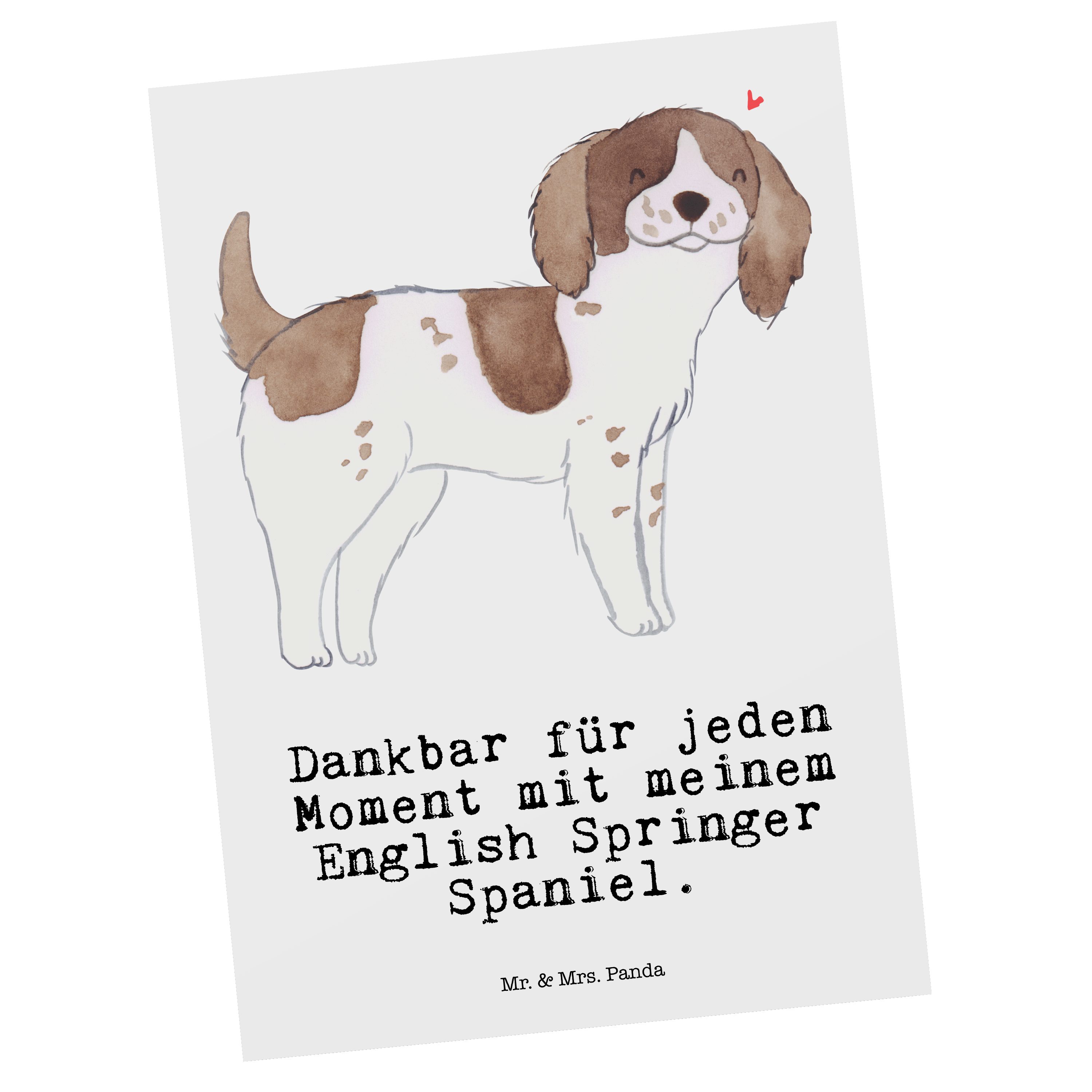 Mr. & Mrs. Panda Postkarte English Springer Spaniel Moment - Weiß - Geschenk, Dankeskarte, Grußk