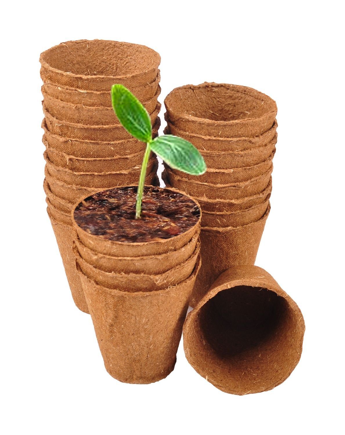 Floraworld Anzuchttopf Anzuchttöpfe 24 Stück Ø6cm Pflanzschalen Aussaattöpfe Ziehtöpfe Blumen