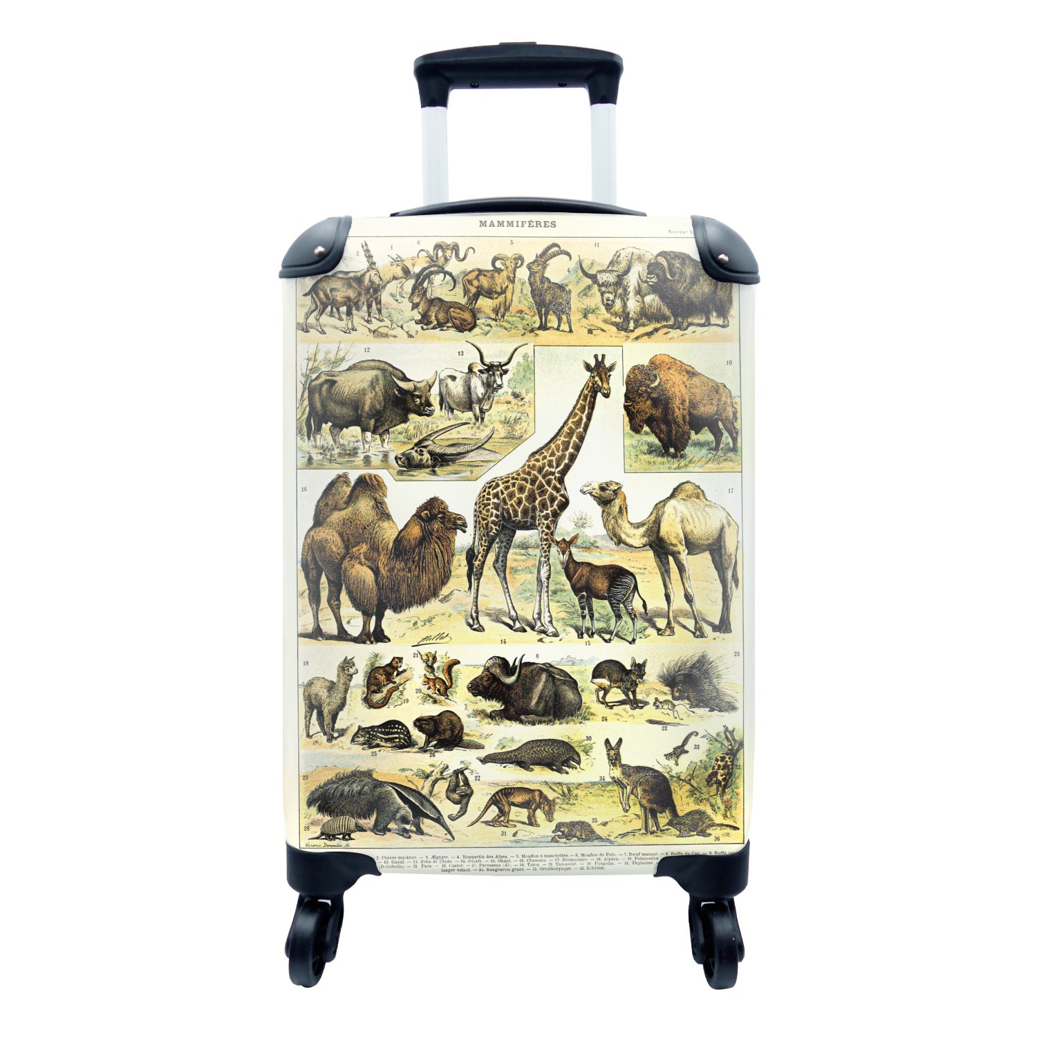MuchoWow Handgepäckkoffer Tiere - Giraffe - Kamel, 4 Rollen, Reisetasche mit rollen, Handgepäck für Ferien, Trolley, Reisekoffer