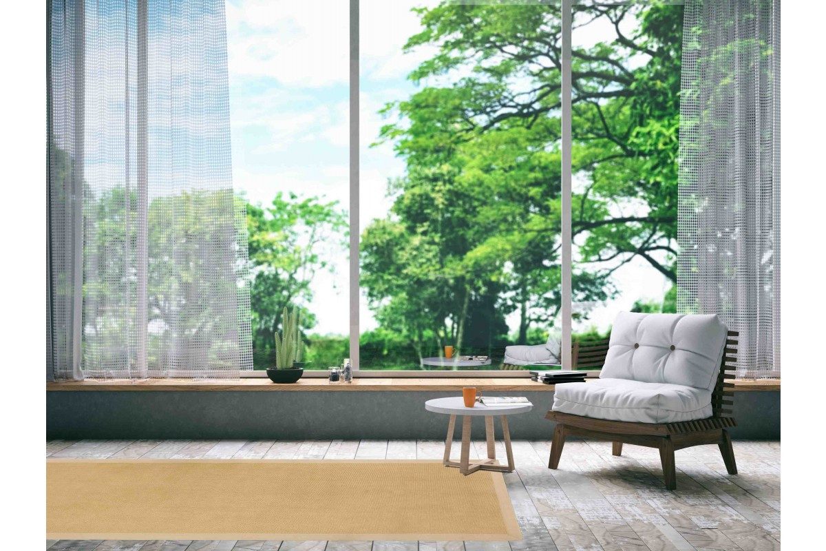 carpetfine Sisalteppich Sisal, auch als Läufer erhältlich, rechteckig, Höhe: 5 mm, mit farbiger Bordüre, Anti Rutsch Rückseite, viele Größen, Wohnzimmer