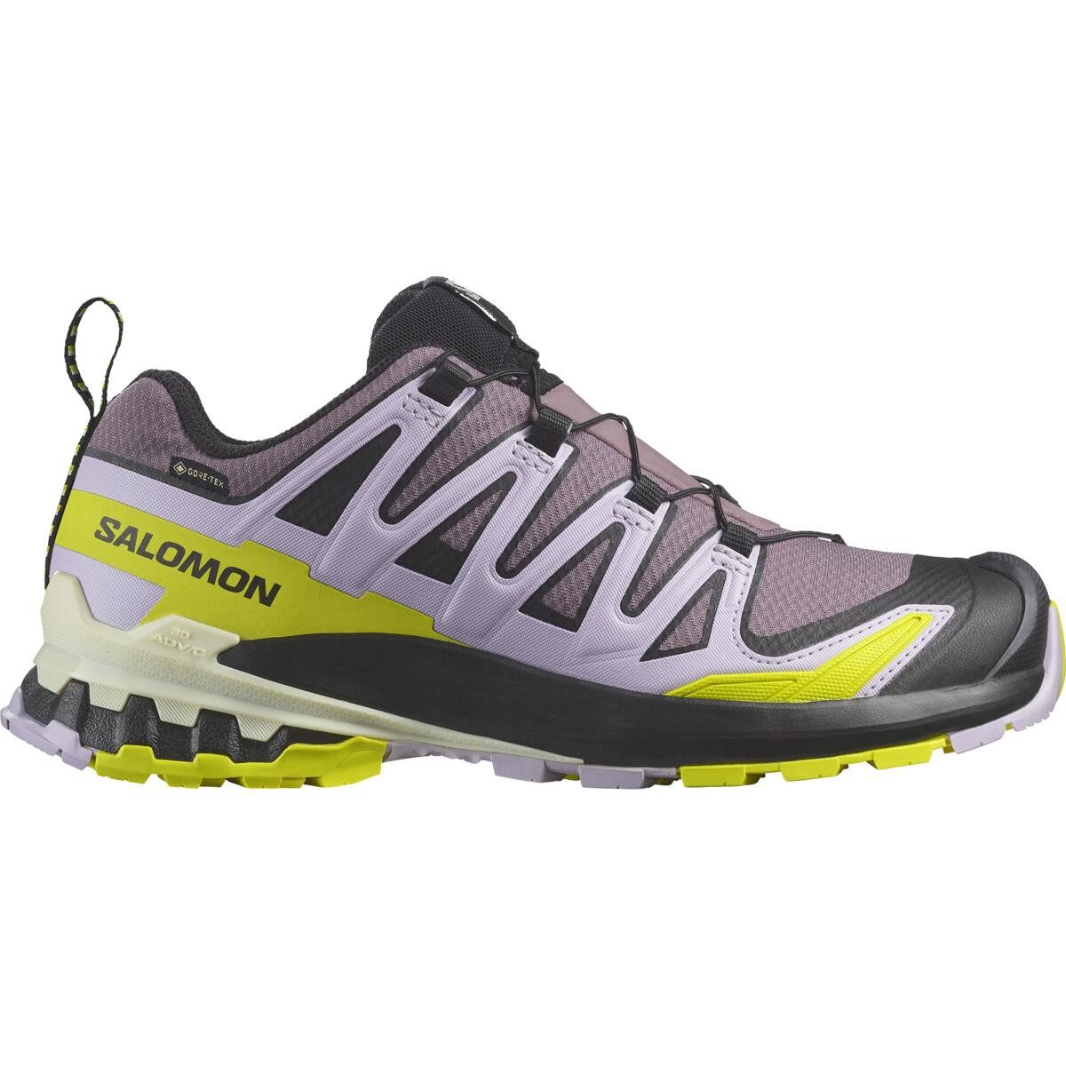 Salomon XA PRO 3D V9 GTX W Outdoorschuh günstig online kaufen