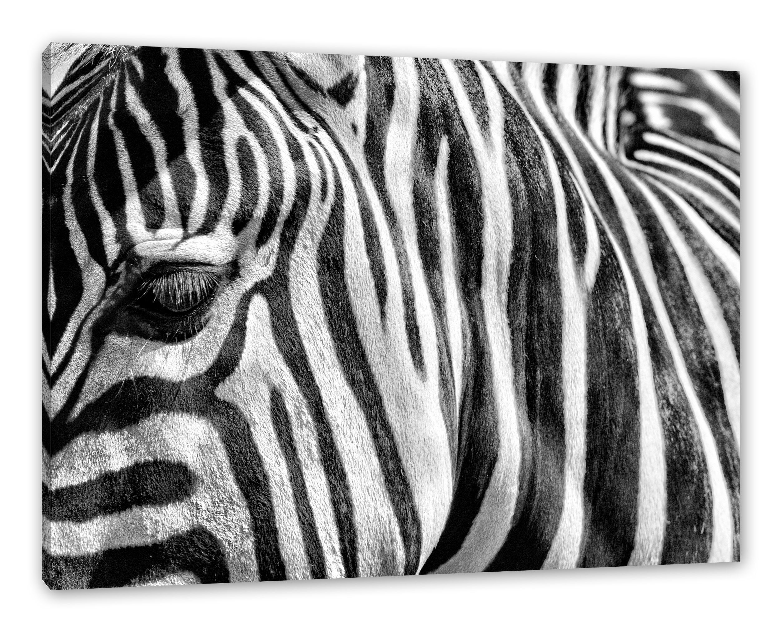 fertig Pixxprint Porträt Zebra Porträt, Zebra Leinwandbild (1 Leinwandbild inkl. St), Zackenaufhänger bespannt,