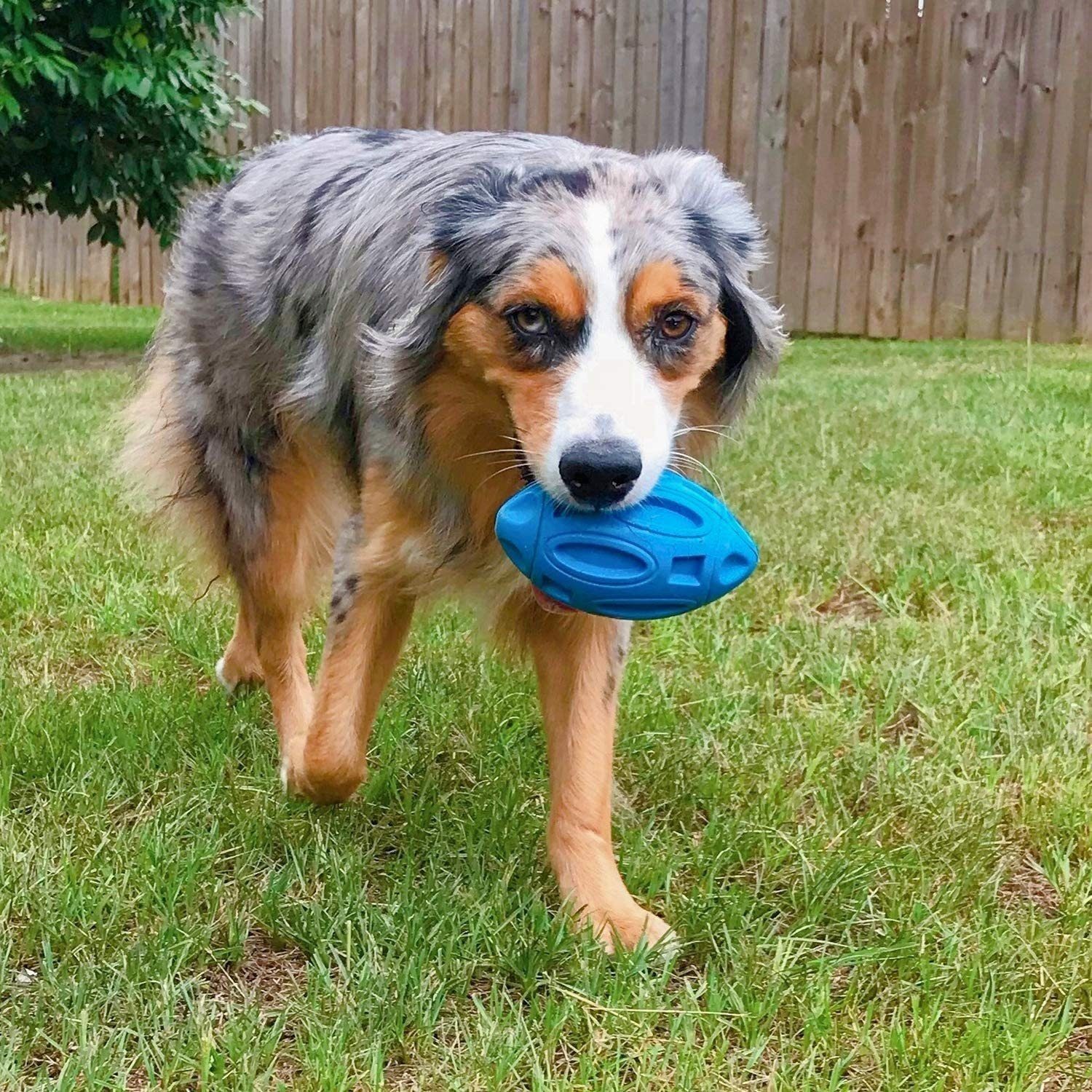 TUABUR Tierball Hundespielzeug, Gummi Welpen Ball, (1-tlg) kauen