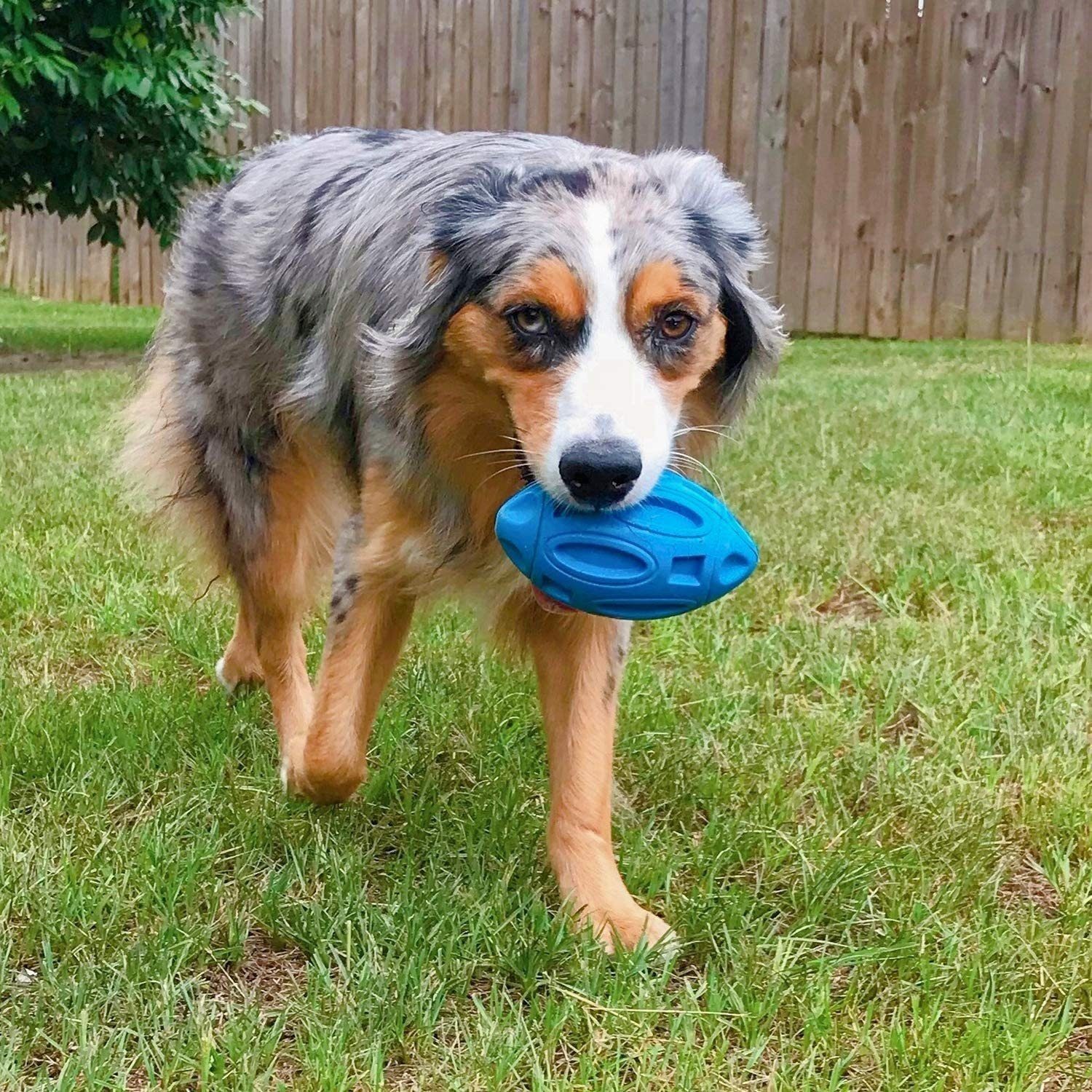 Tierball Welpen kauen TUABUR Hundespielzeug, Gummi Ball, (1-tlg)