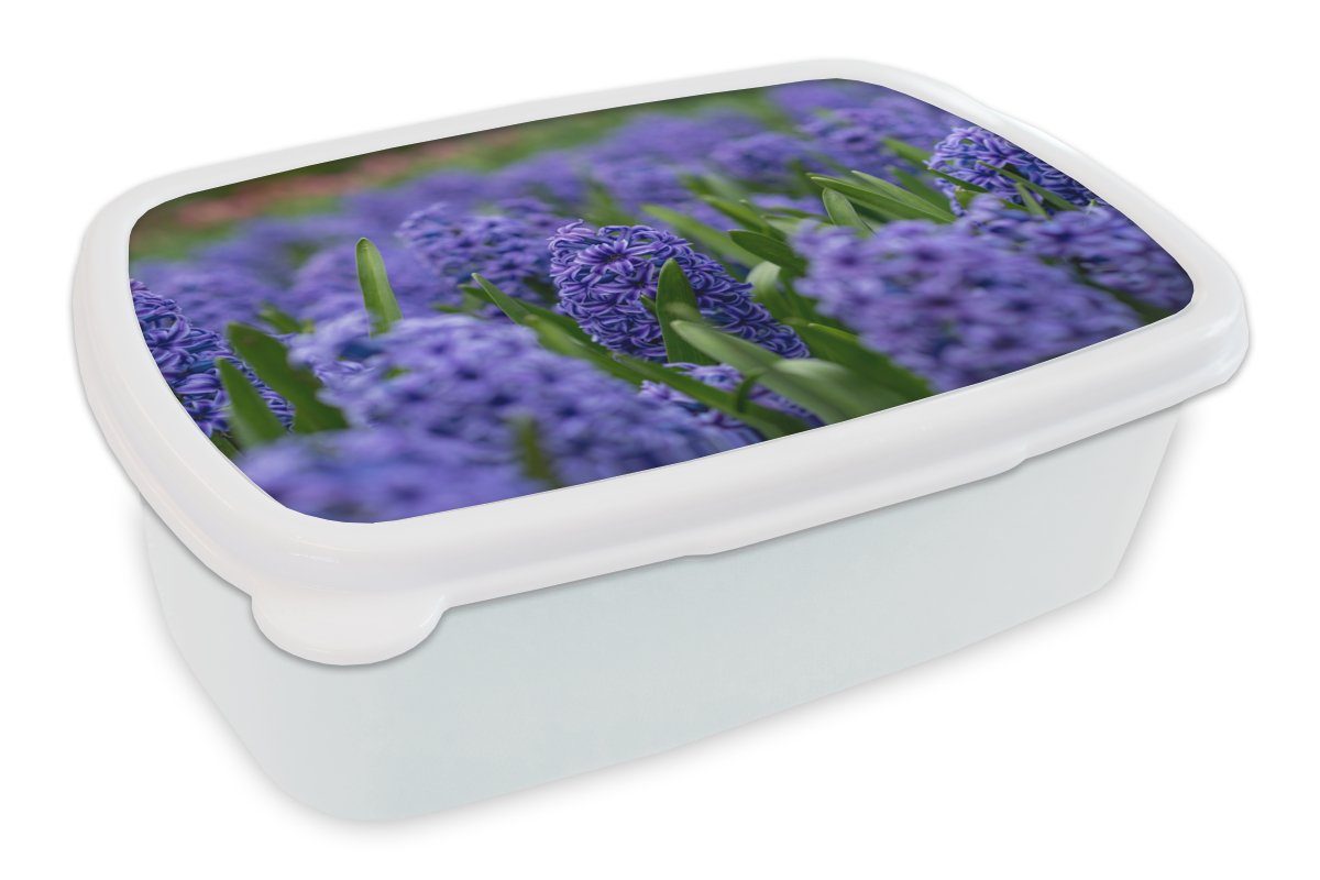 MuchoWow Lunchbox Hyazinthe - Blumen - Lila, Kunststoff, (2-tlg), Brotbox für Kinder und Erwachsene, Brotdose, für Jungs und Mädchen weiß
