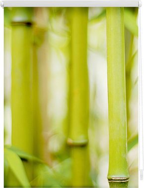 Seitenzugrollo Rollo Klemmfix, ohne Bohren, Verdunkelung, Bambus - Grün, LICHTBLICK ORIGINAL, verdunkelnd, freihängend, Klemmfix