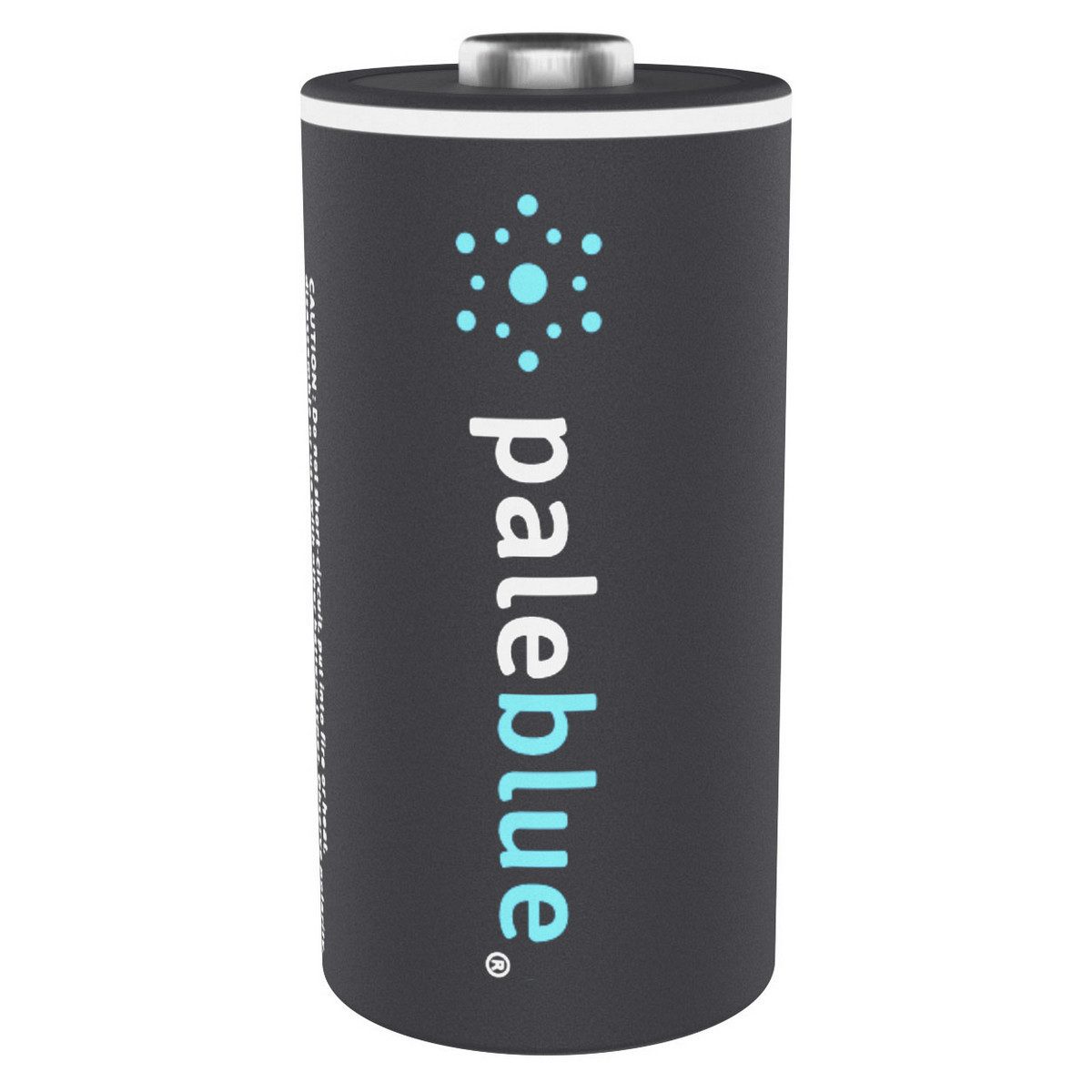 Paleblue Akku D (Mono) (1,5 V), USB-C-Ladeanschluss direkt im Akku