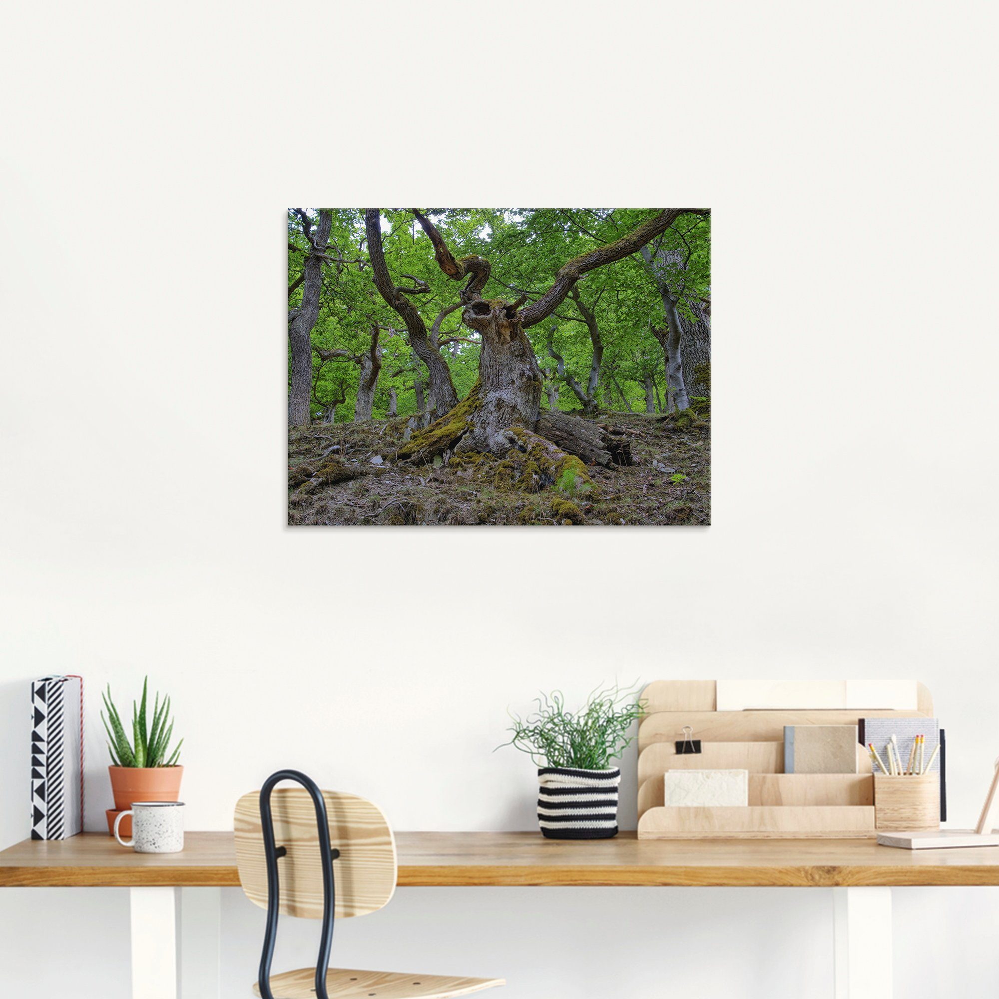 Artland Glasbild »Eichen wie ein Märchenwald«, Wald (1 Stück)-HomeTrends