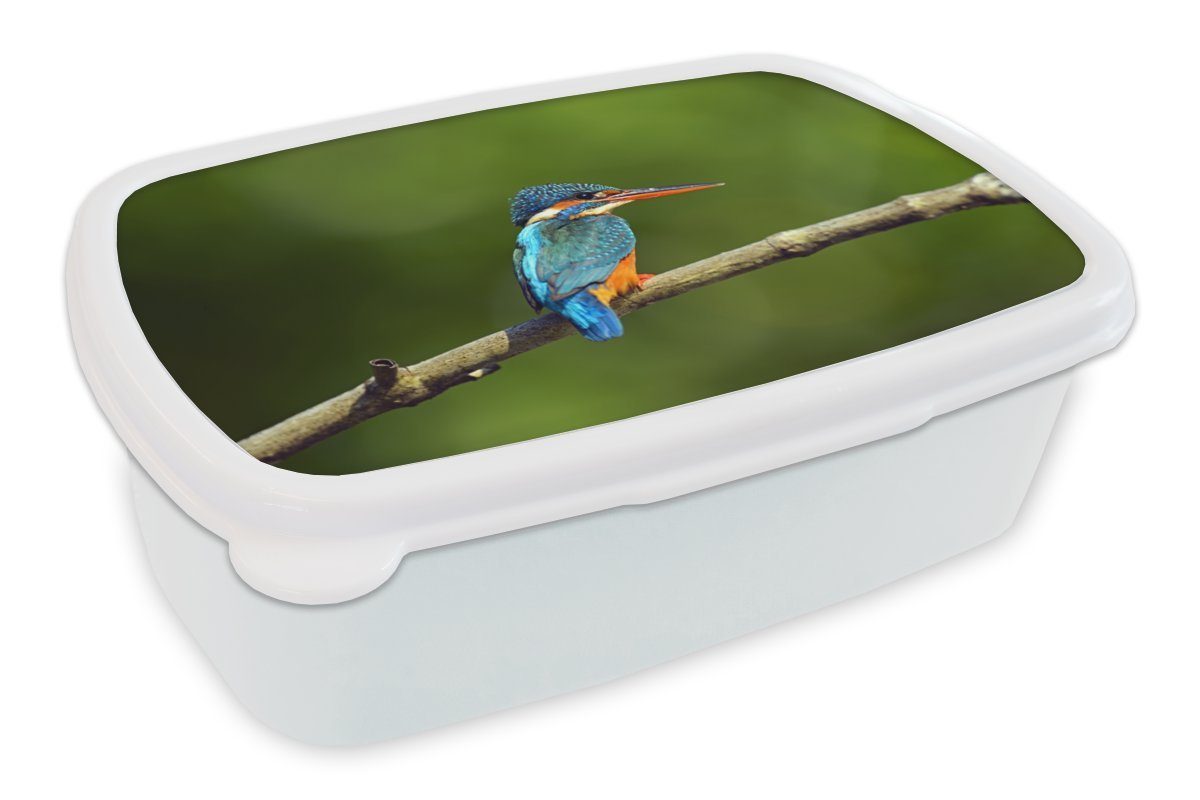 MuchoWow Lunchbox Sri Lanka - Wildtiere - Eisvogel, Kunststoff, (2-tlg), Brotbox für Kinder und Erwachsene, Brotdose, für Jungs und Mädchen weiß