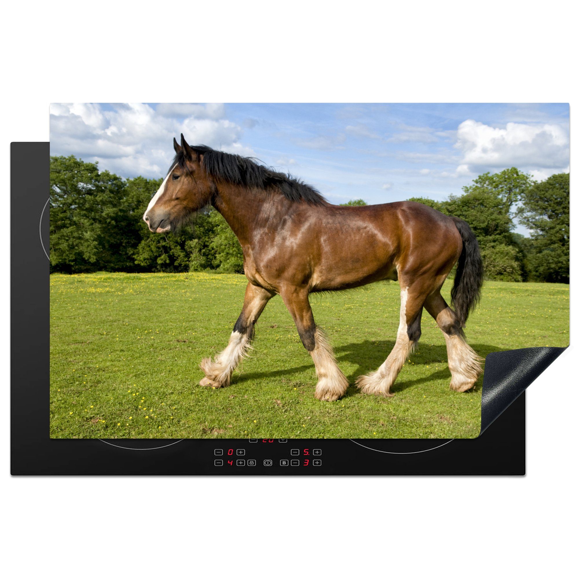 MuchoWow Herdblende-/Abdeckplatte Shire Horse für grüner cm, (1 Schutz Ceranfeldabdeckung Wiese, tlg), küche, Vinyl, auf die Induktionskochfeld 81x52