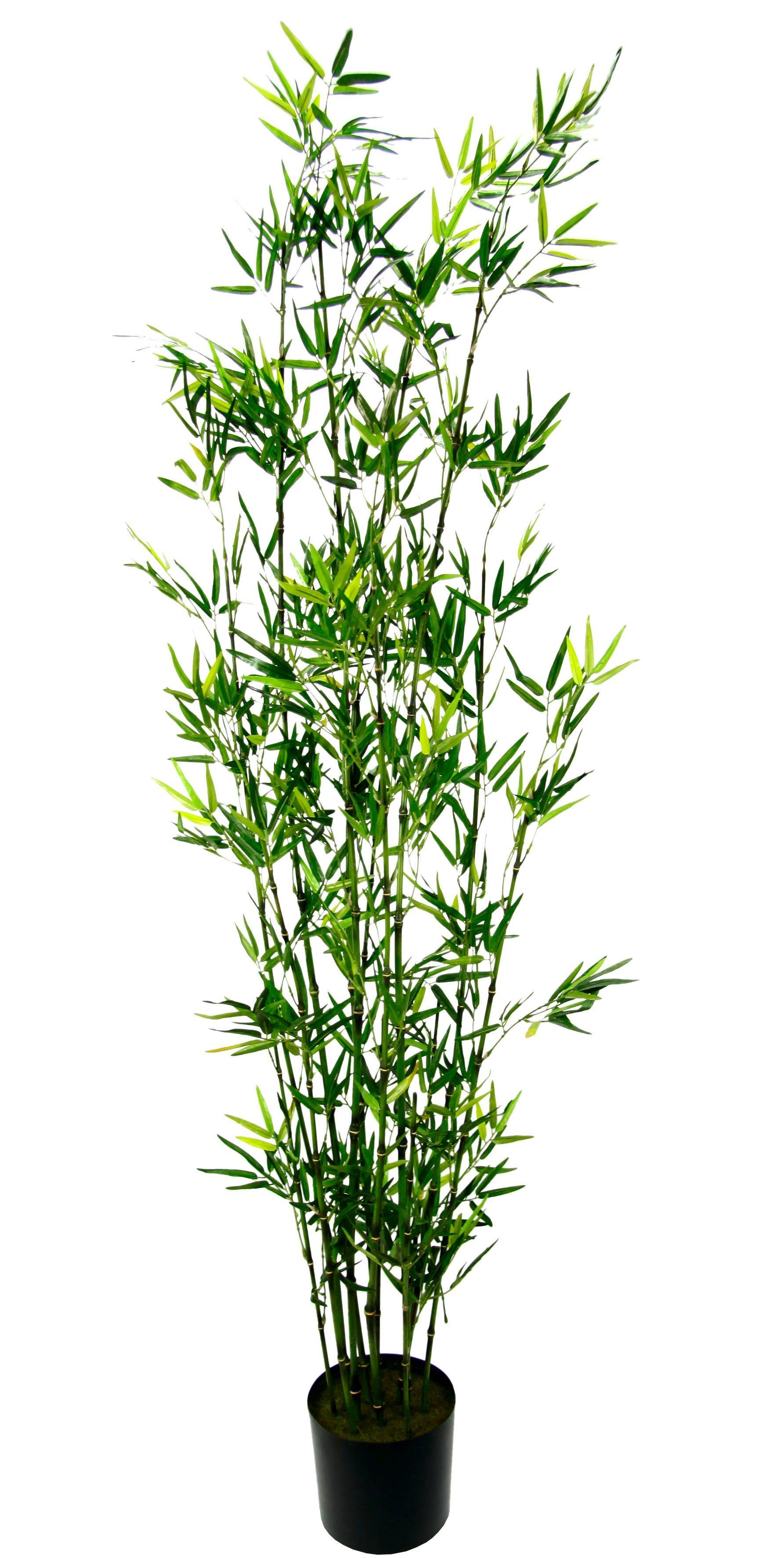 Kunstpflanze Bambus im Topf Höhe Bambus, I.GE.A., cm 180