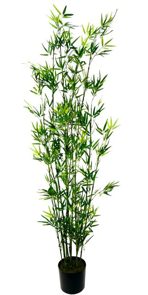 Kunstpflanze Bambus im Topf Bambus, I.GE.A., Höhe 180 cm