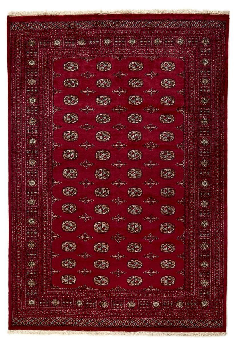 Orientteppich Pakistan Buchara 3ply 204x295 Handgeknüpfter Orientteppich, Nain Trading, rechteckig, Höhe: 8 mm