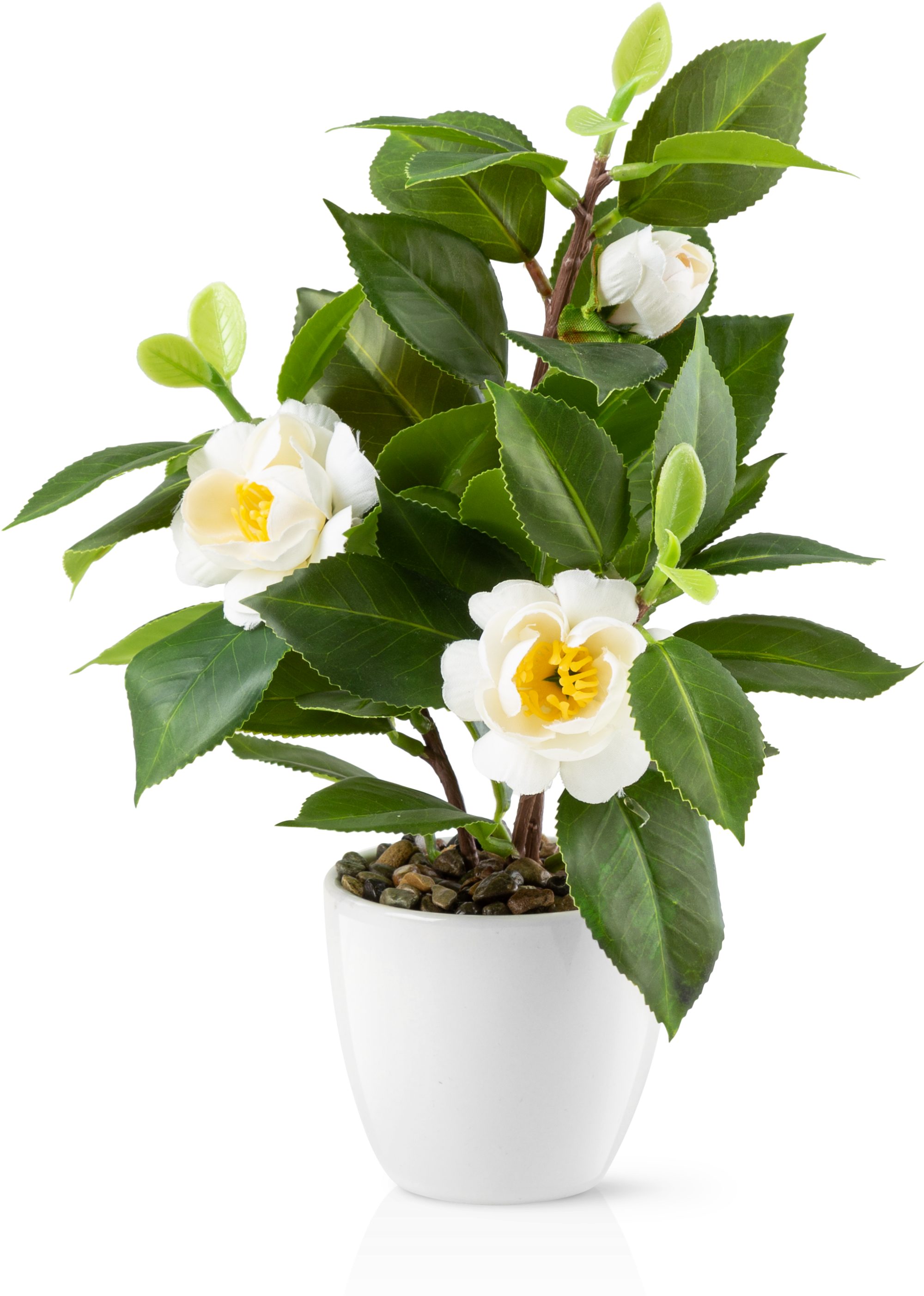 Kunstblume Kunstblumen im Topf, Künstliche Blumen wie echt, Deko Blumen Geranie, Kamelie, Orchidee, Azalee, Veilchen, PASCH, Hochwertiger Keramiktopf