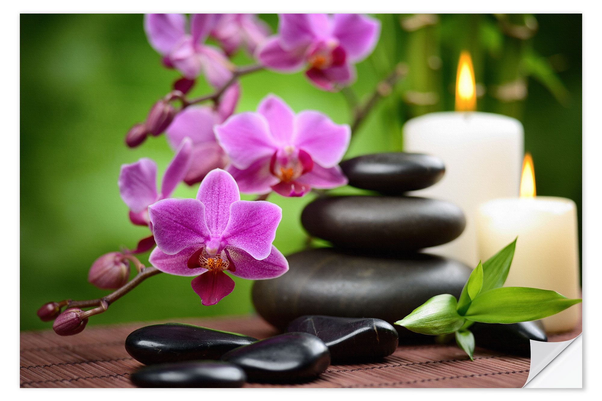 Posterlounge Poster Editors Choice, Wellness-Stillleben mit günstig online kaufen