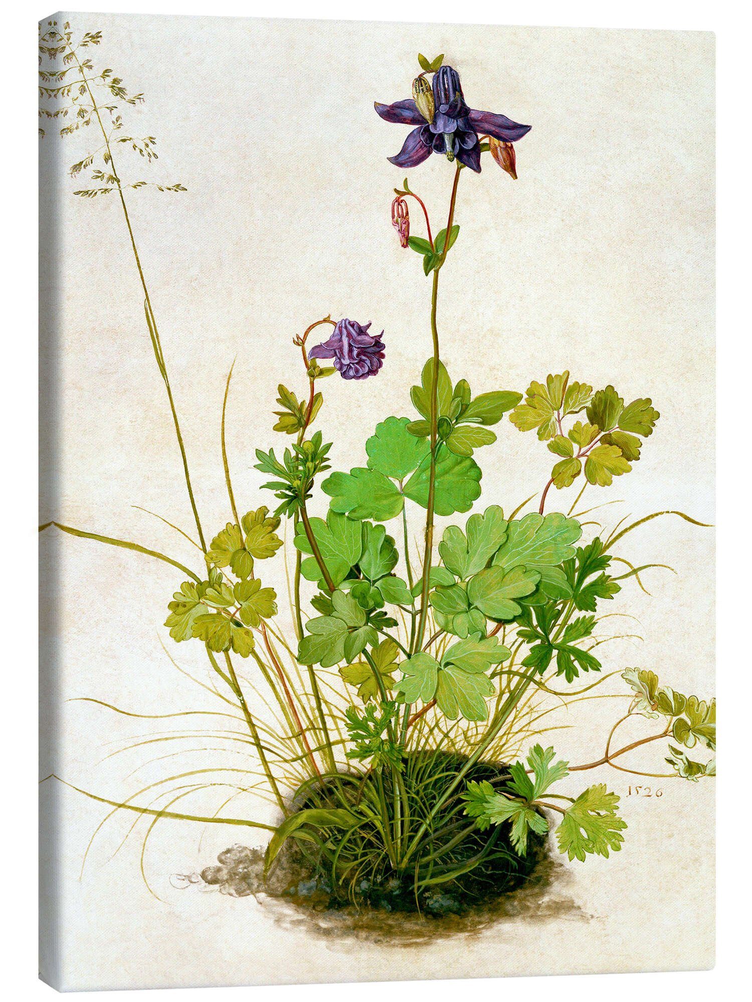 Leinwandbild Albrecht Dürer