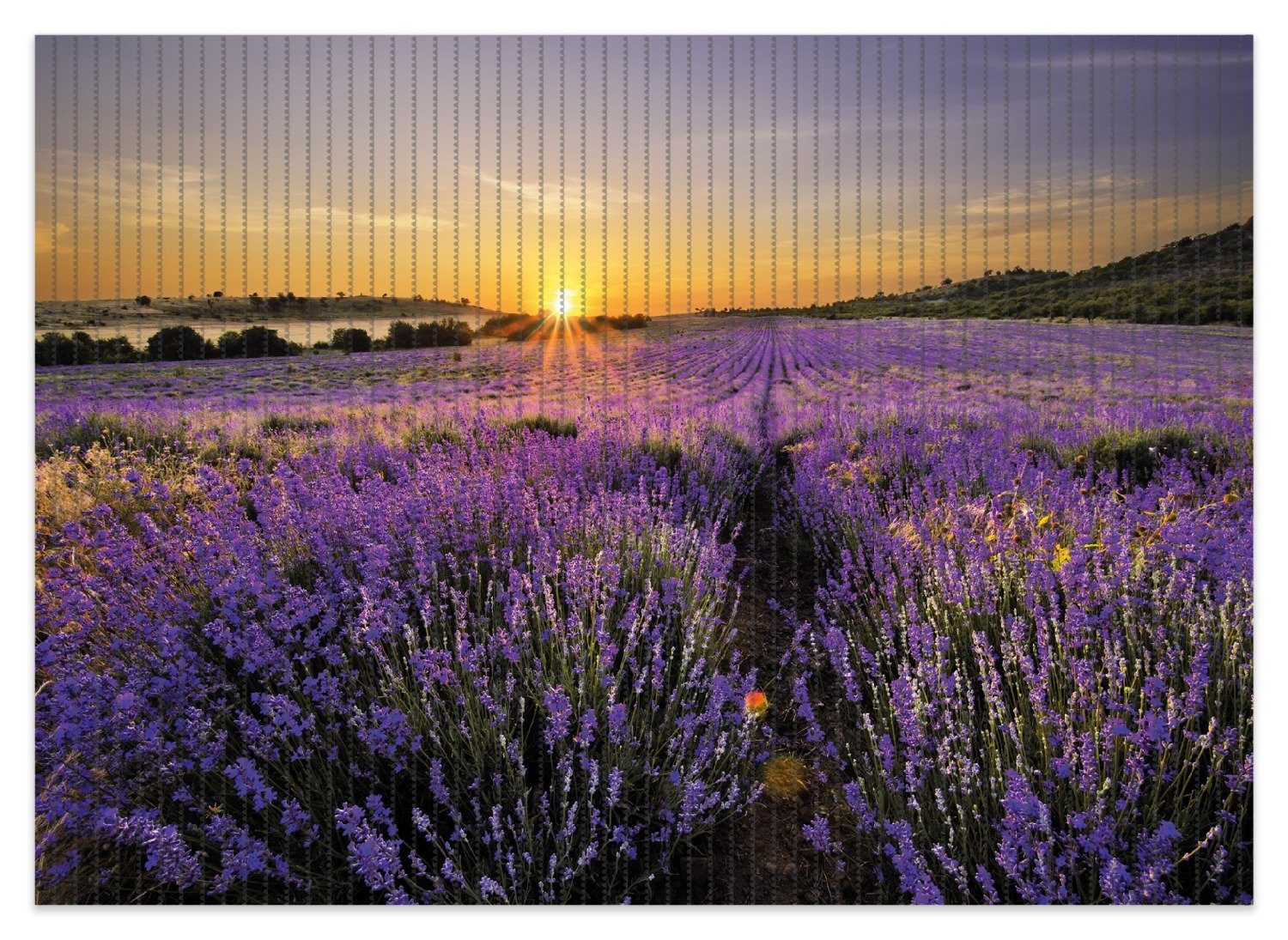 Wallario Schaum-Badematte Sonnenuntergang über dem Lavendel, günstig online kaufen