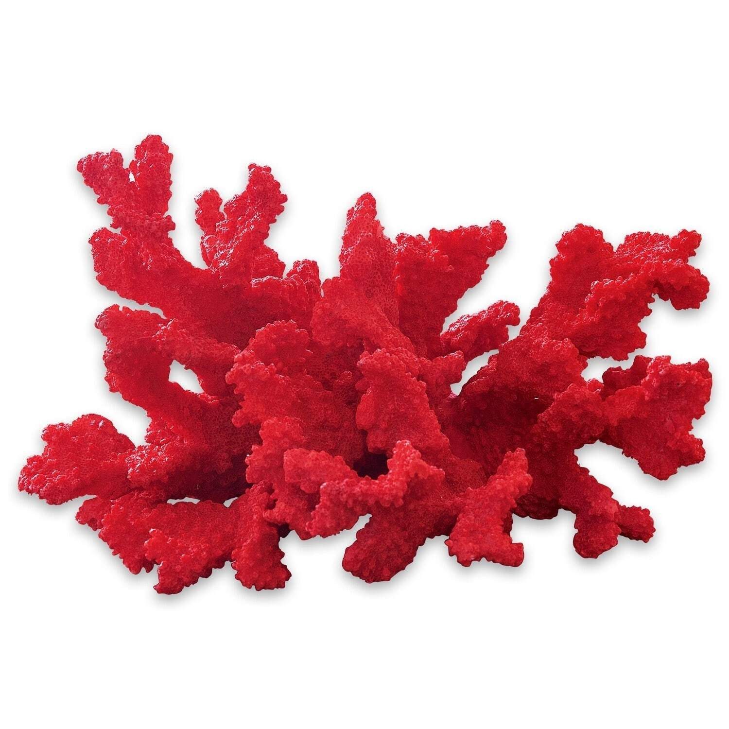 Dekoobjekt Deko-Koralle Reddish rot