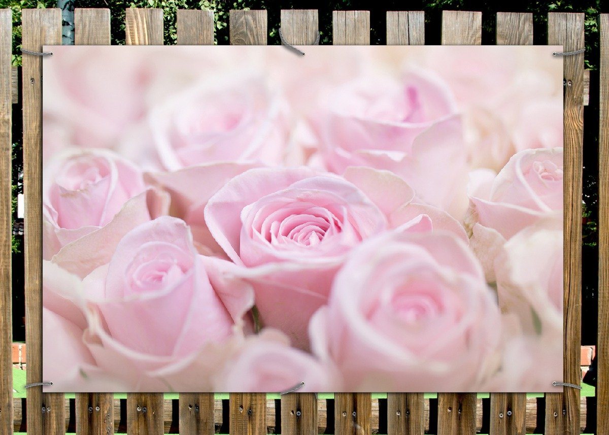Thumbnail - Wallario Sichtschutzzaunmatten Rosafarbene Rosenblüten im Strauß