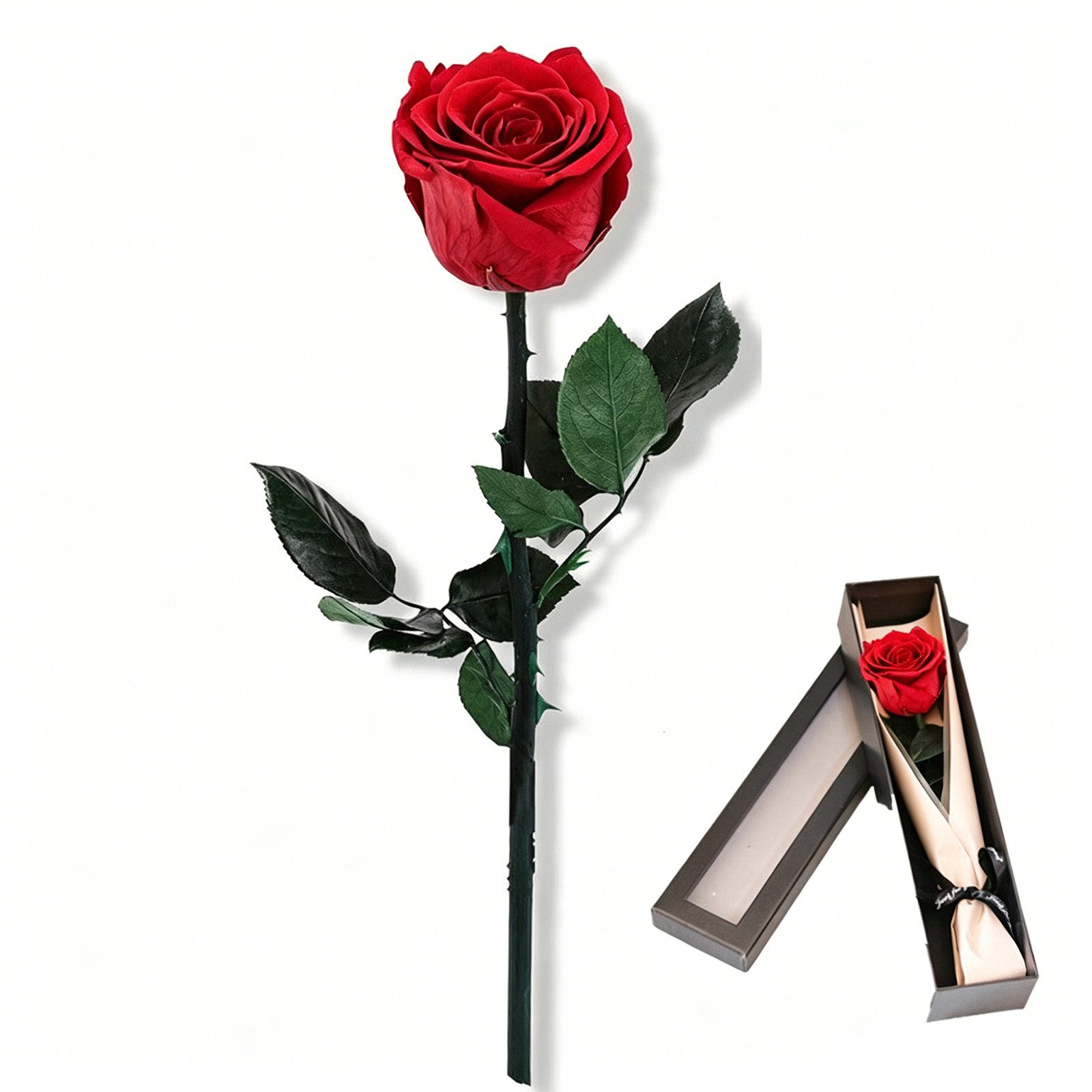 Kunstblume Ewige Rose Konservierte Echte Rose in Geschenkbox Geschenk Für Frauen, MOPUEA, Echte Rose langlebig pflegefrei dekorativ verpackt