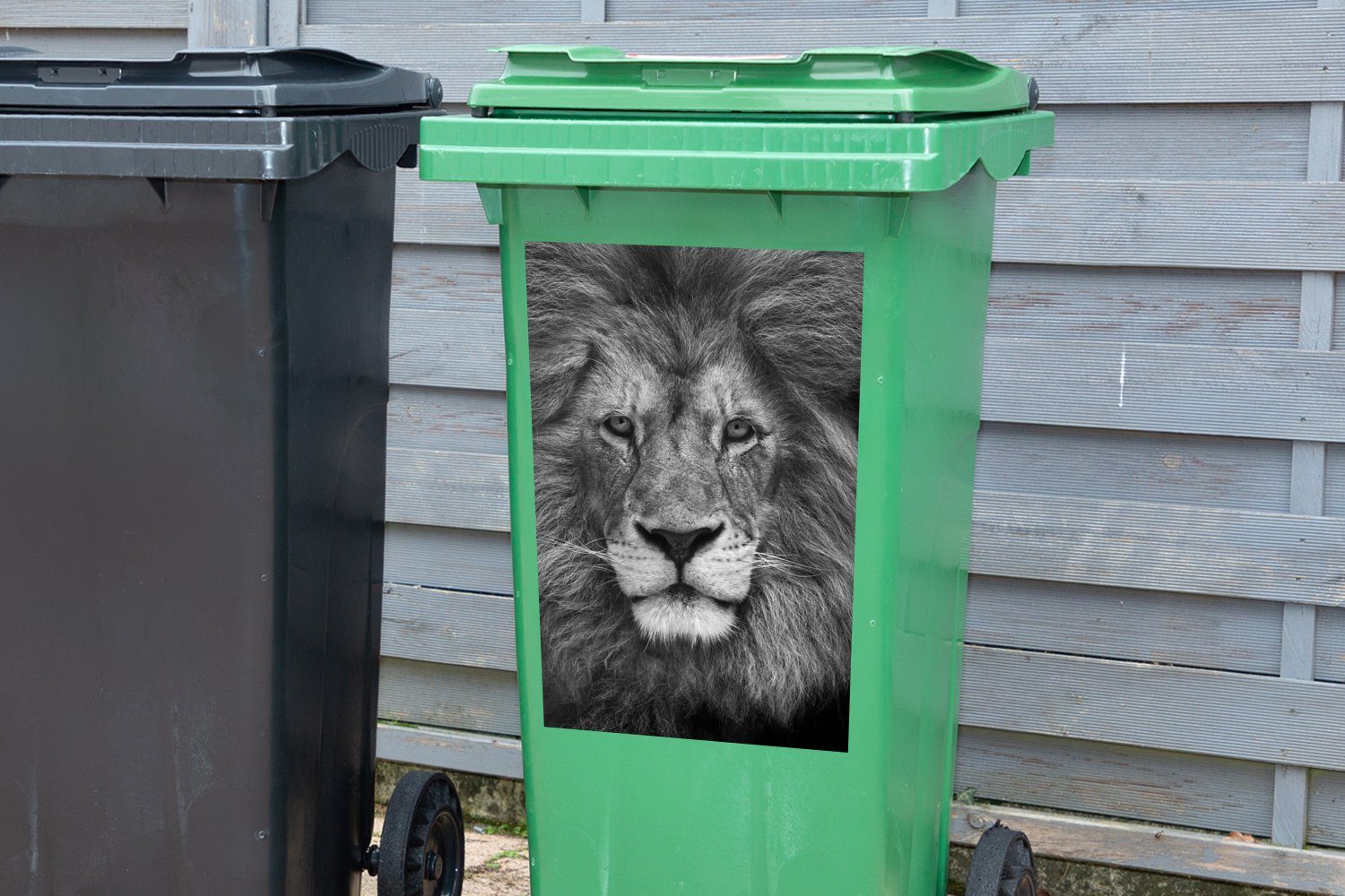 Mülleimer-aufkleber, Container, - Sticker, Wandsticker MuchoWow (1 - Abfalbehälter Mülltonne, St), Porträt Schwarz Löwe