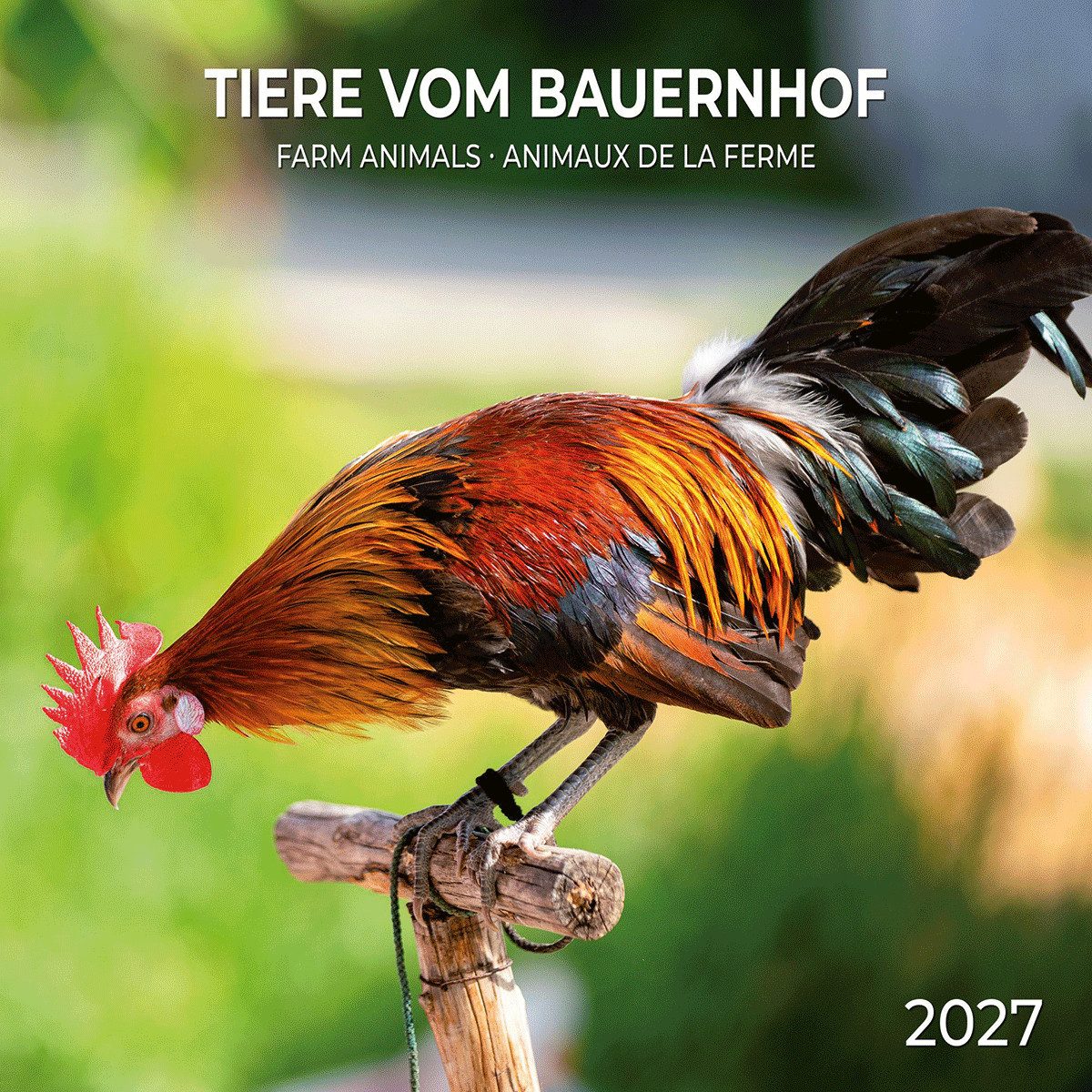 Wandkalender Tiere vom Bauernhof / Farm Animals 2027: Kalender 2027 (Artwork Edi