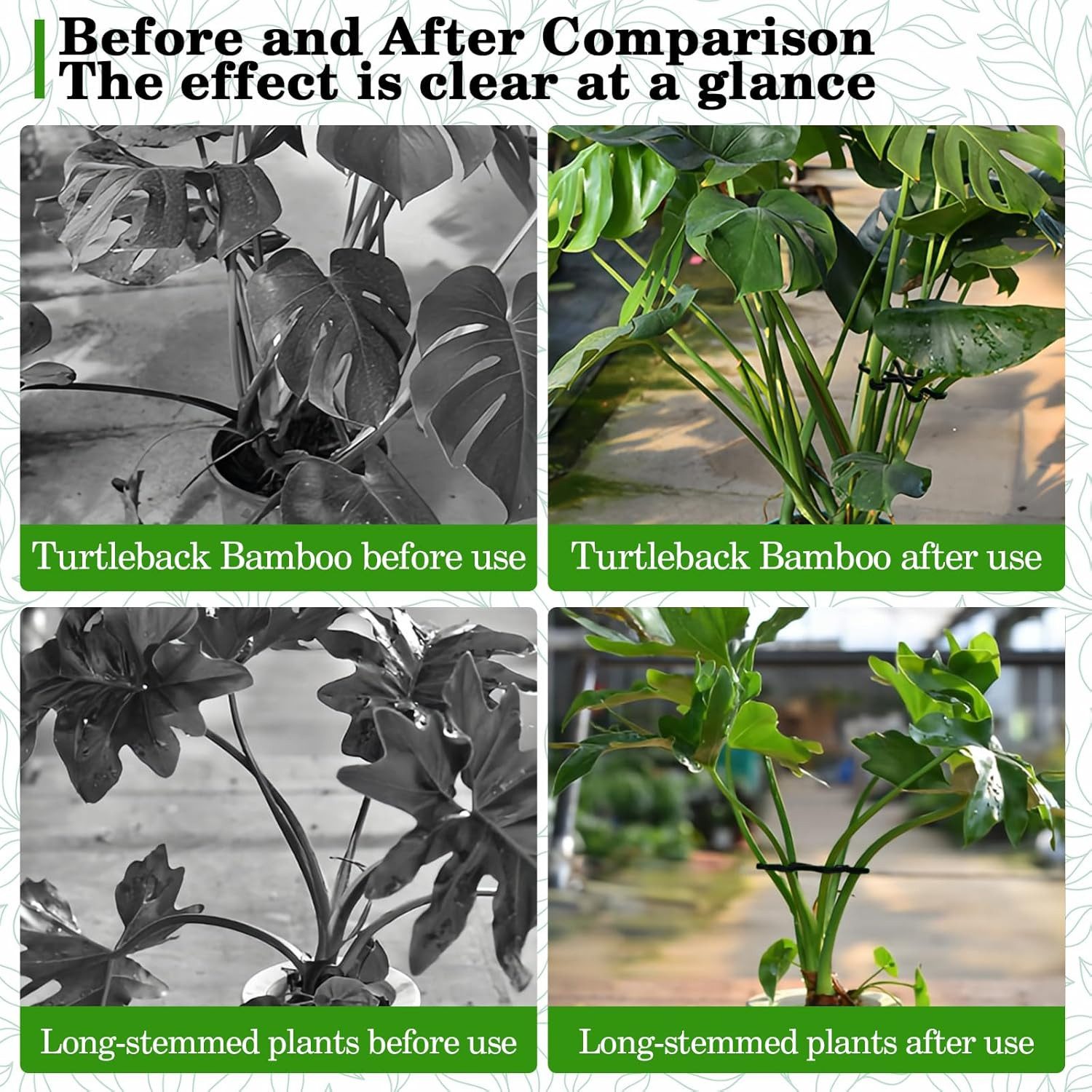 Coonoor Gartenpflege-Set 4 Stück Staudenhalter, Rankhilfe und Pflanzenhalter – Bild 5 von 5