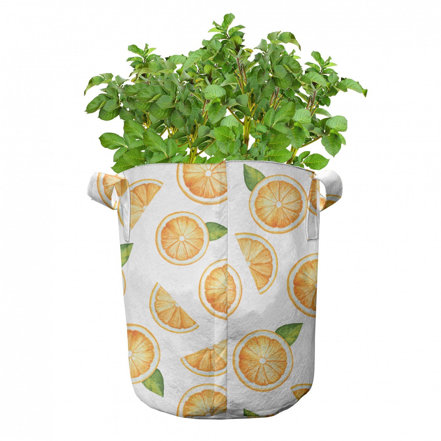 Abakuhaus Pflanzkübel hochleistungsfähig Stofftöpfe mit Orange Aquarell Pflanzen, Fruchtscheiben für Griffen