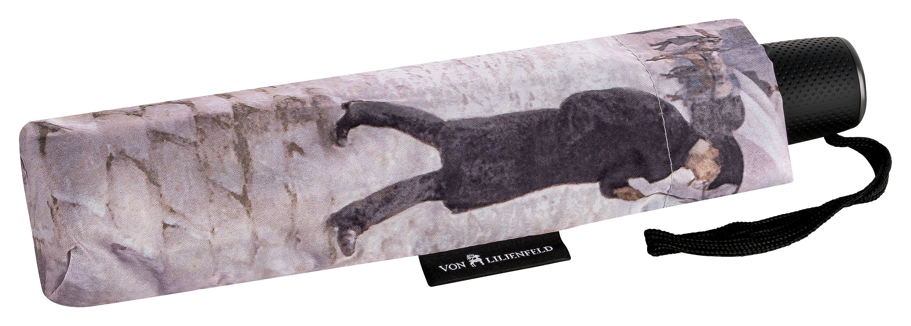 von Lilienfeld Taschenregenschirm Motivschirm Gustave Caillebotte: Paris im Regen Auf-Zu-Automatik, Kunstdruck