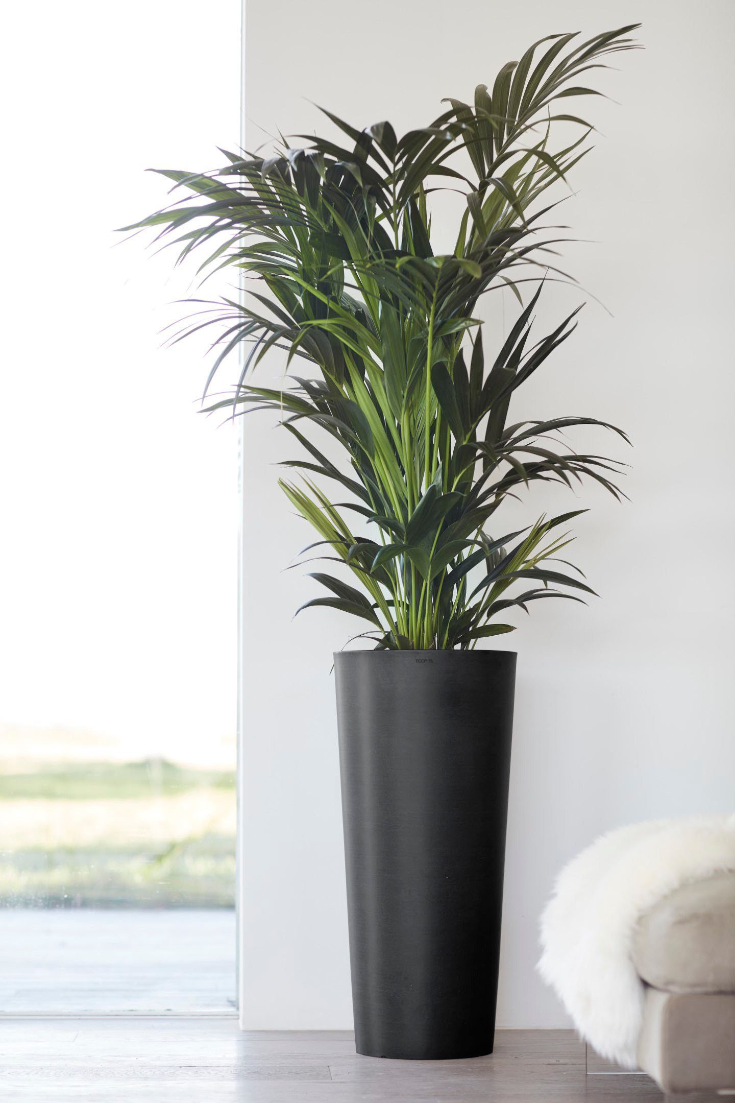 ECOPOTS Blumentopf Amsterdam, ØxH: 32x72 cm | Pflanzkübel