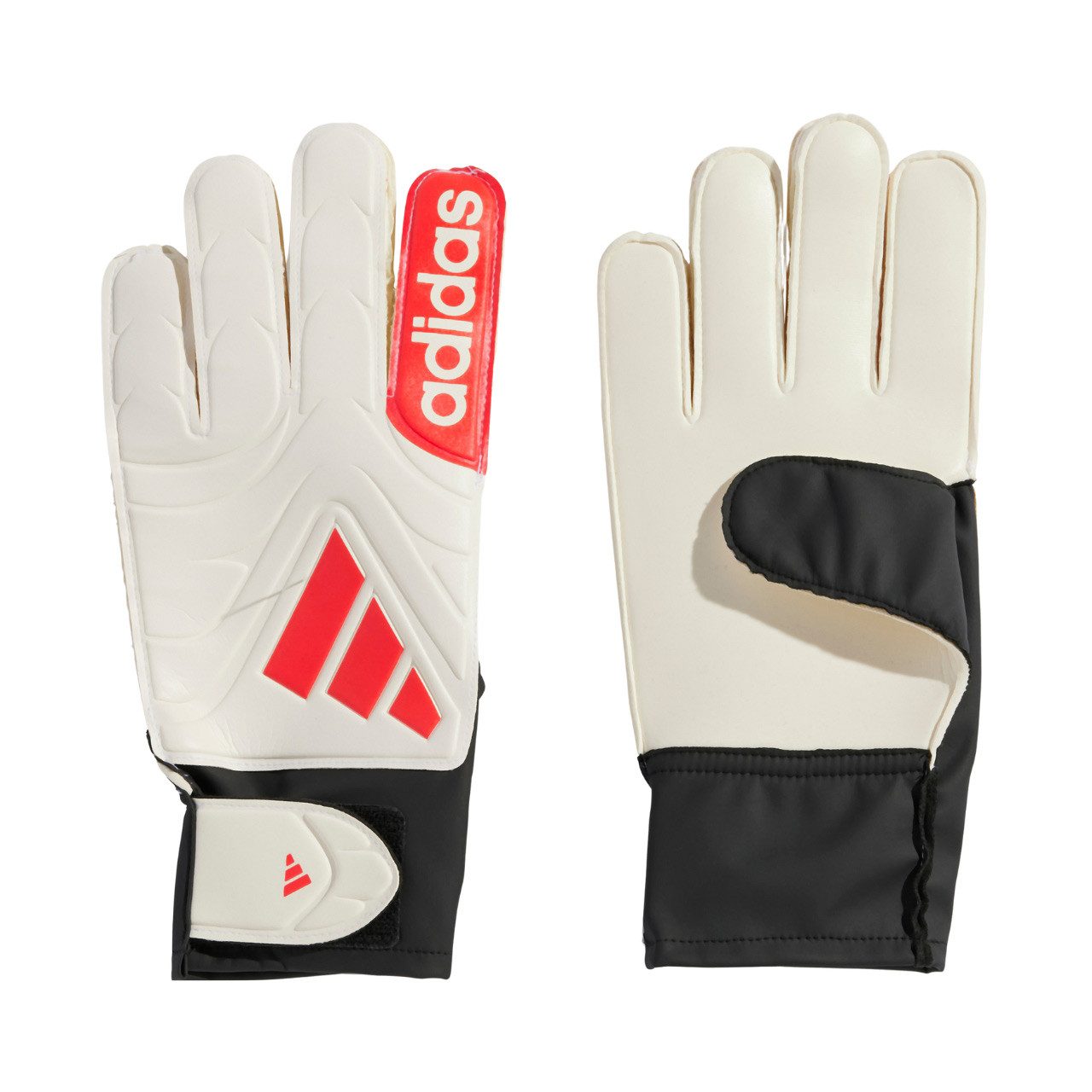 adidas Performance Torwarthandschuhe adidas Copa