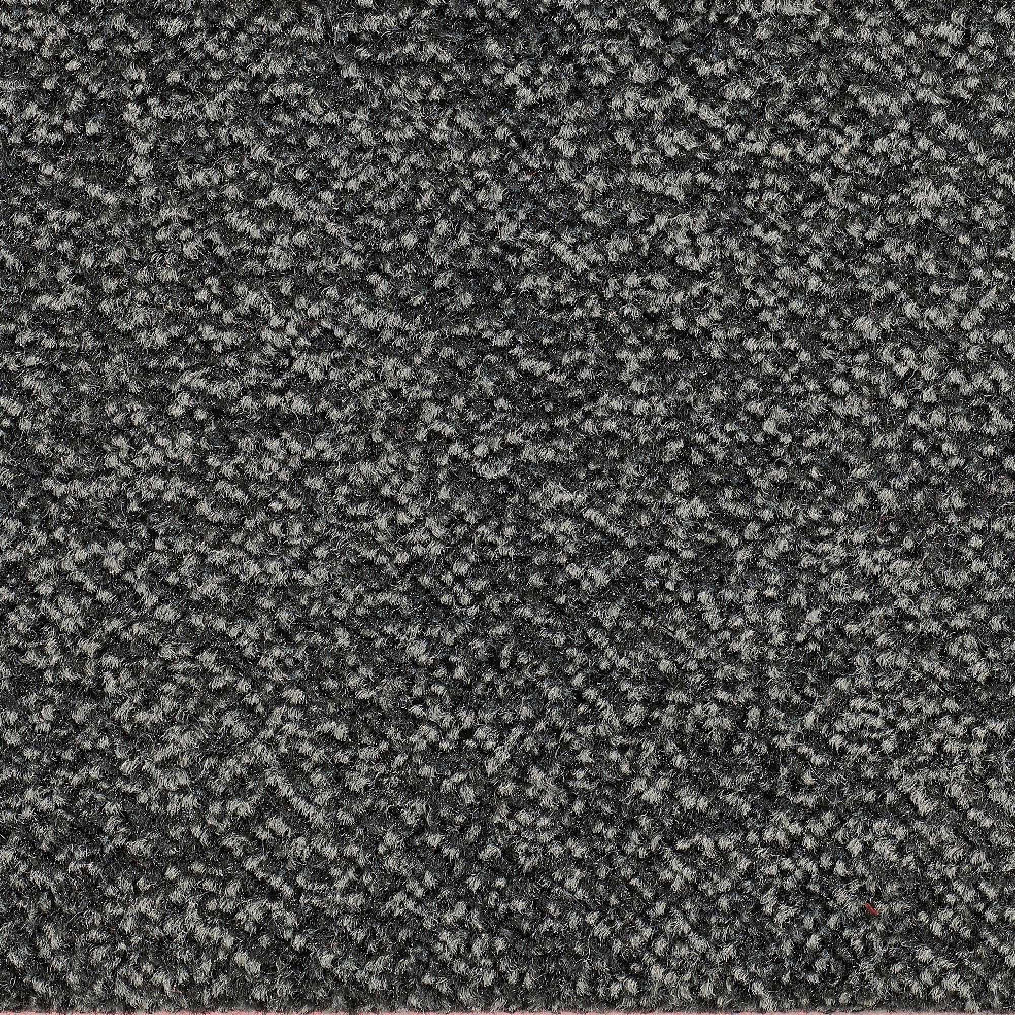 Teppichboden Veloursteppich Juno, Bodenmeister, rechteckig, Höhe: 8,5 mm, Wohnzimmer, Schlafzimmer, Kinderzimmer, Breite 400/500 cm anthrazit schwarz