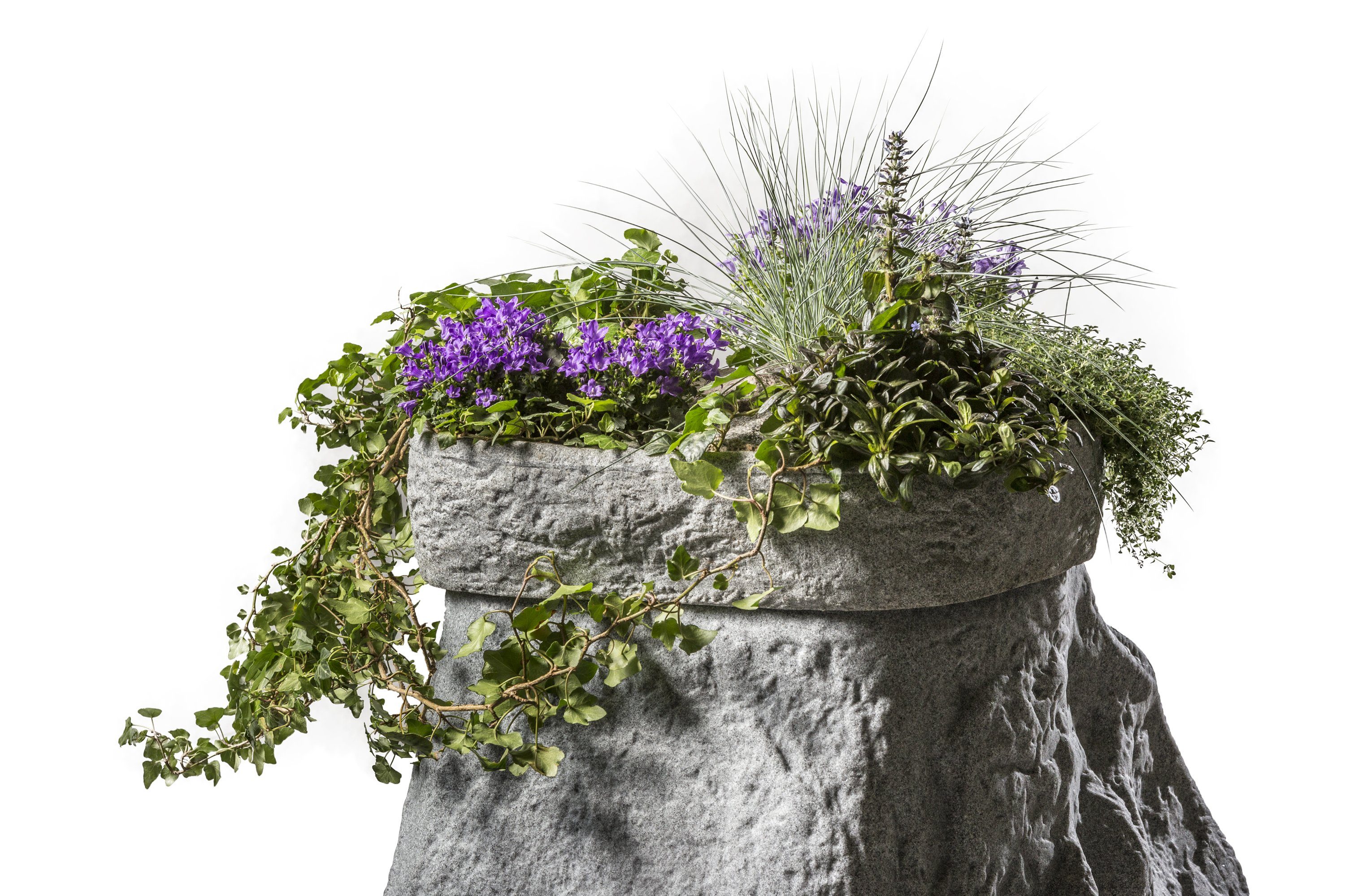 GreenLife Pflanzschale für den Dekor-Regenspeicher "Hinkelstein", günstig online kaufen