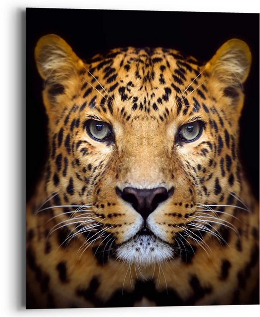 Reinders! Wandbild »Wandbild Leopard Kräftig - Panther - Raubetier - Gefleckt«, Leopard (1 Stück)-Otto