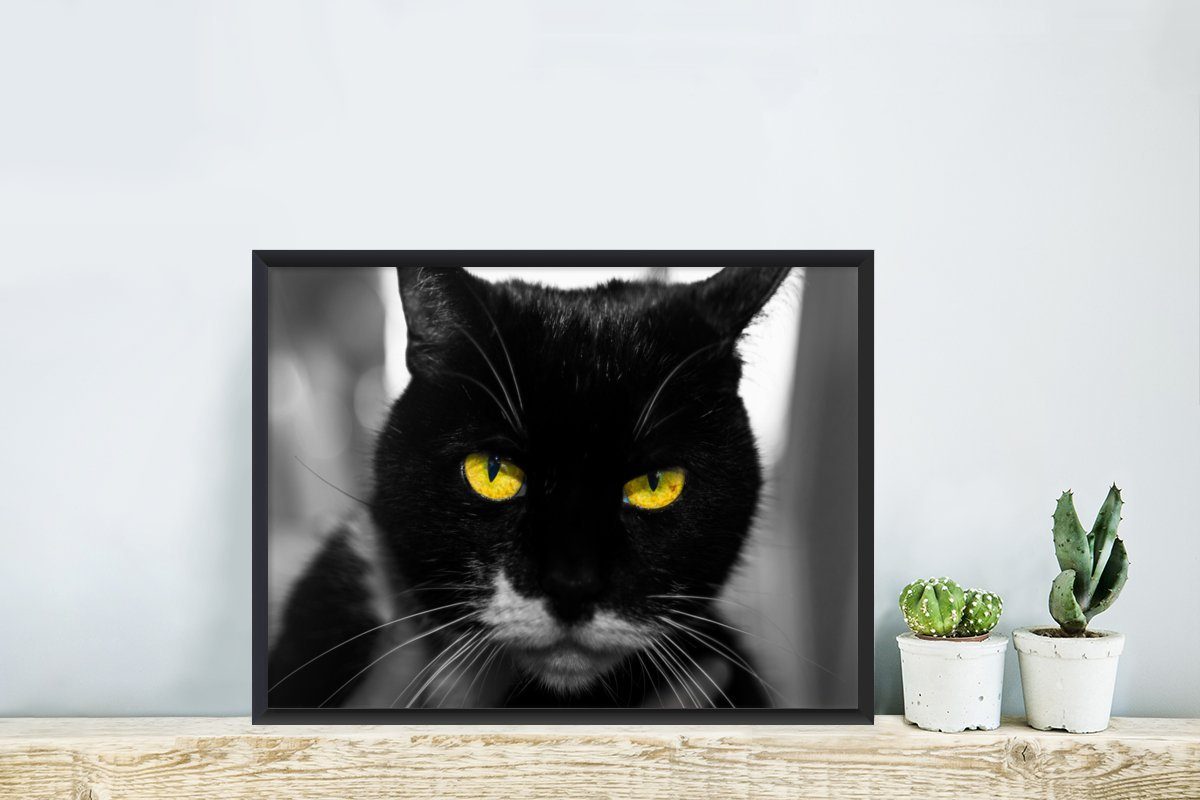 Gerahmtes gelben des (1 MuchoWow Katze Schwarzem Augen, Wanddeko, St), Poster, mit Bilder, Wandposter, Bilderrahmen einer Kopfes schwarzen Poster Schwarz-Weiß-Foto
