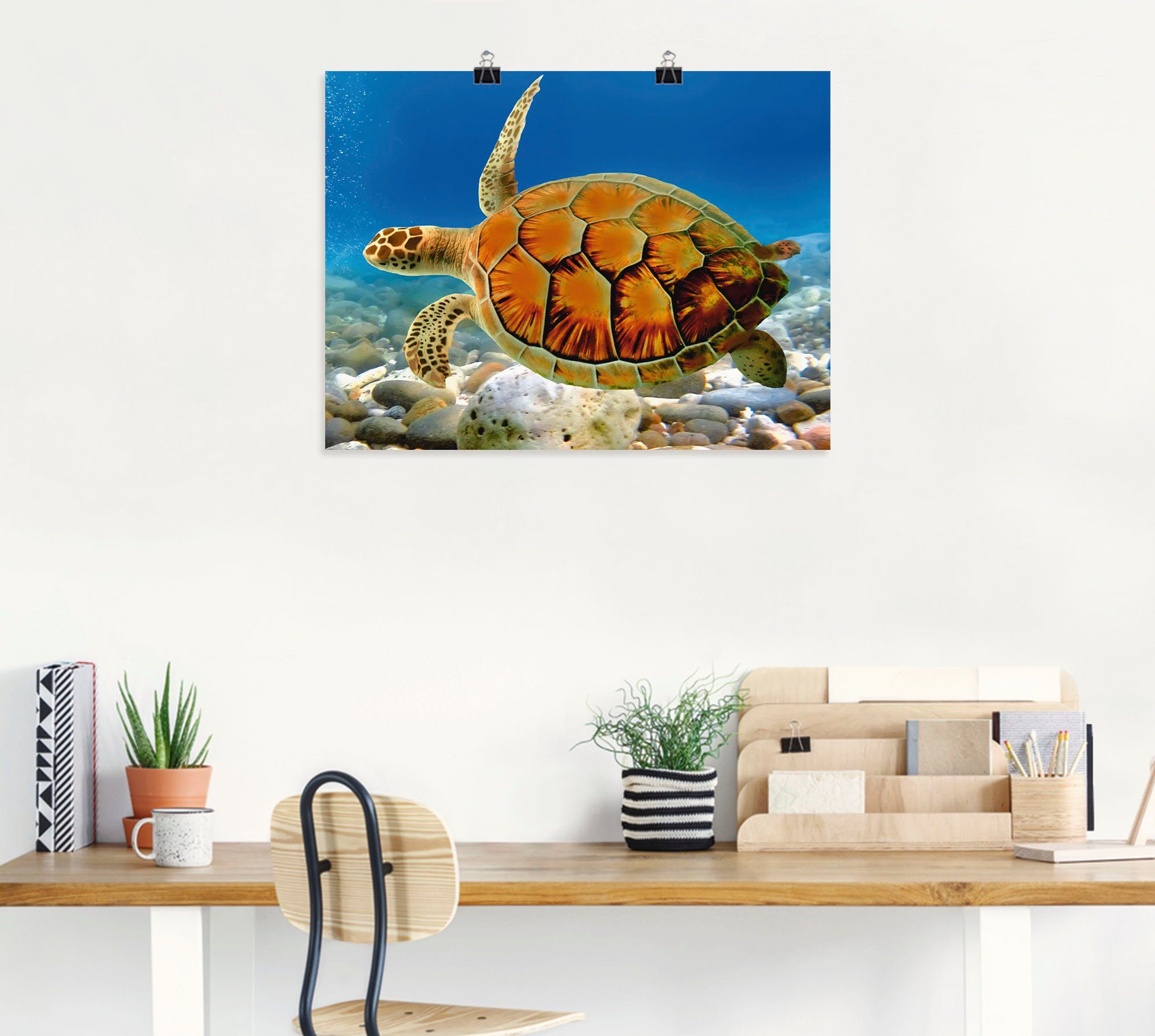 als Artland Schildkröte, Wandbild Alubild, Wassertiere in (1 St), Wandaufkleber Poster oder versch. Leinwandbild, Größen